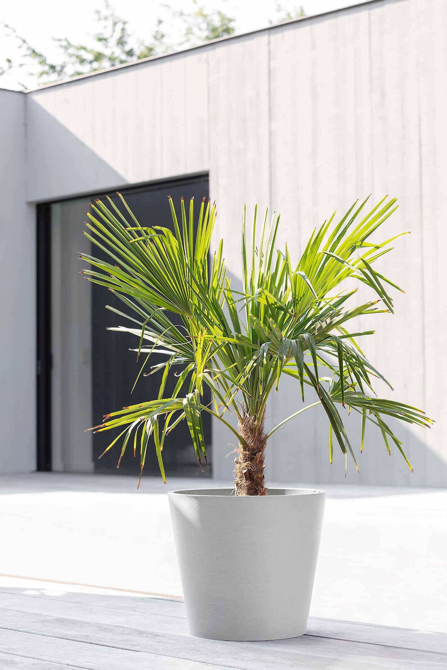 Vaso ECOPOT'S in resina bianco H 36 x ø 40 cm - 2
