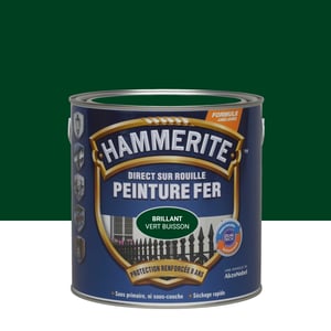Peinture extérieure fer HAMMERITE vert buisson brillant 2.5l
