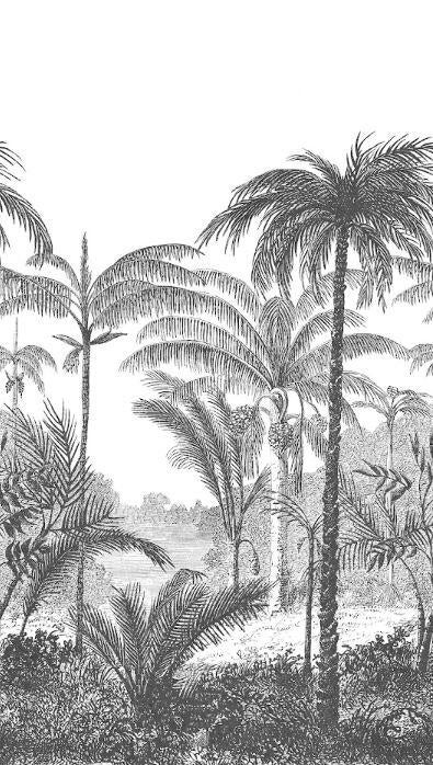 Papier peint panoramique Feuille Palm Scenery noir et blanc l.159 x H.280 cm - 2