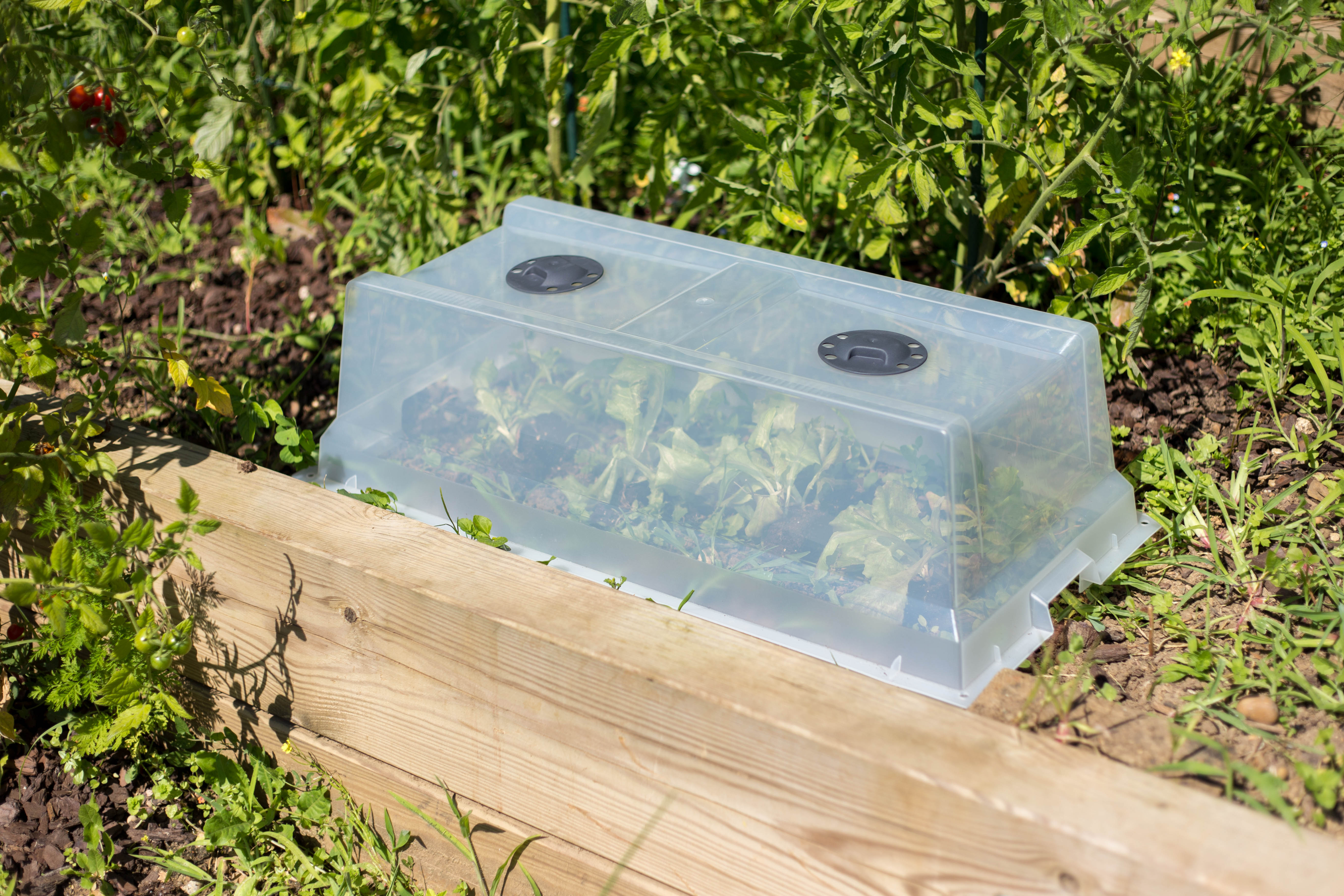Serre de culture EDA PLASTIQUES Vegetable City, L.37,5 x l.75 x H.21,5 cm - 2