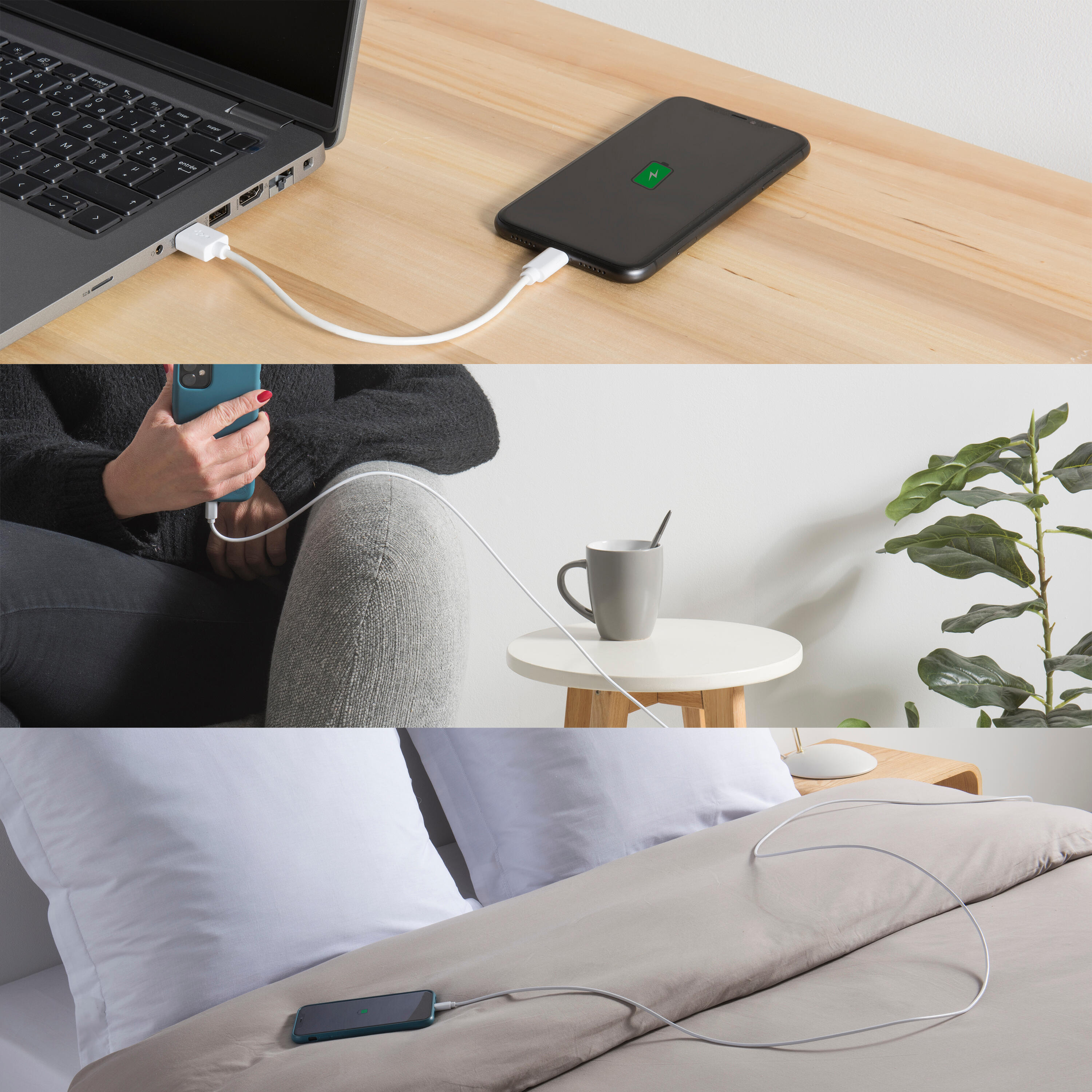 Câble USBA/Lightning, 1m, blanc, Lexman - 4