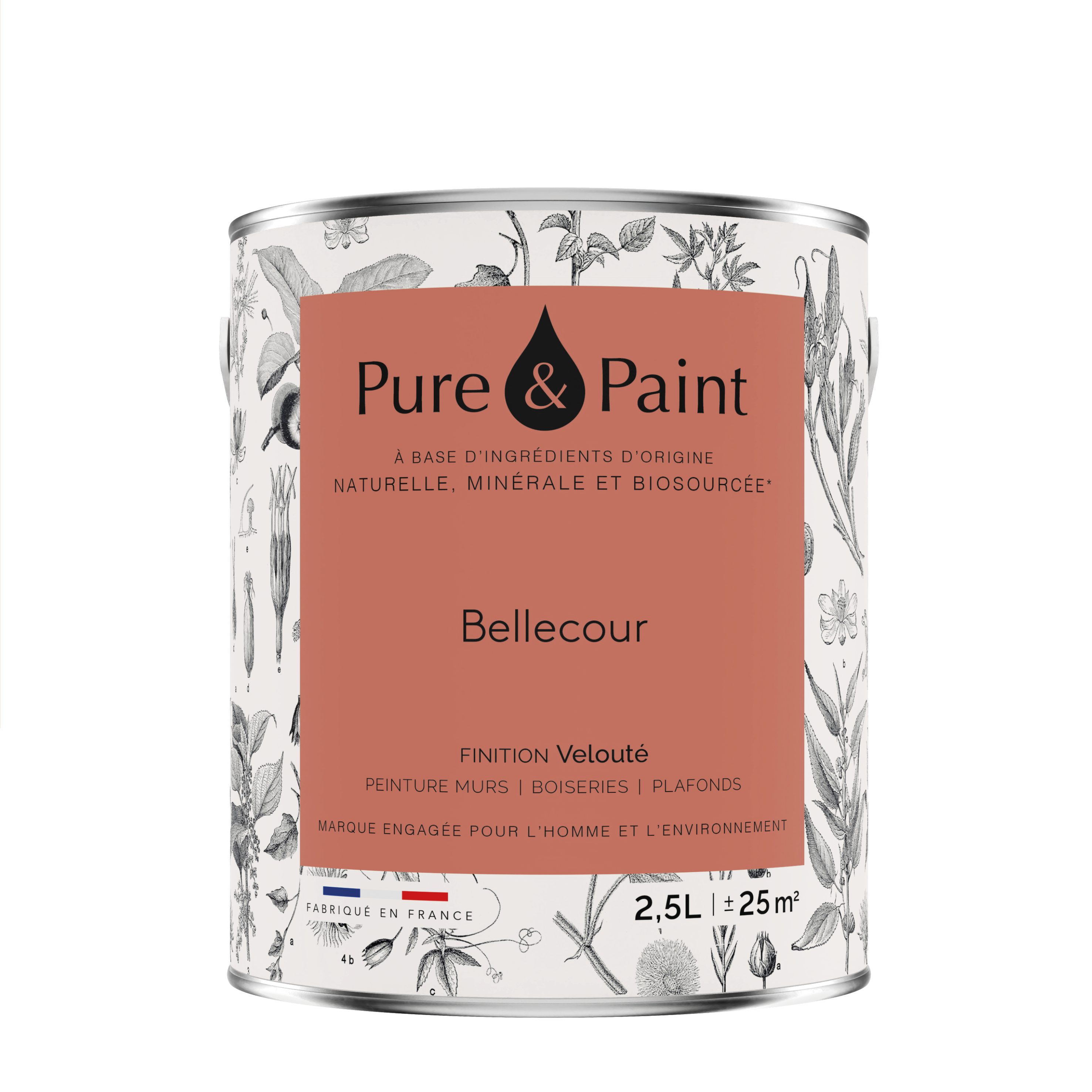 Peinture mur, boiserie bellecour velours PURE & PAINT , 2.5L - 8