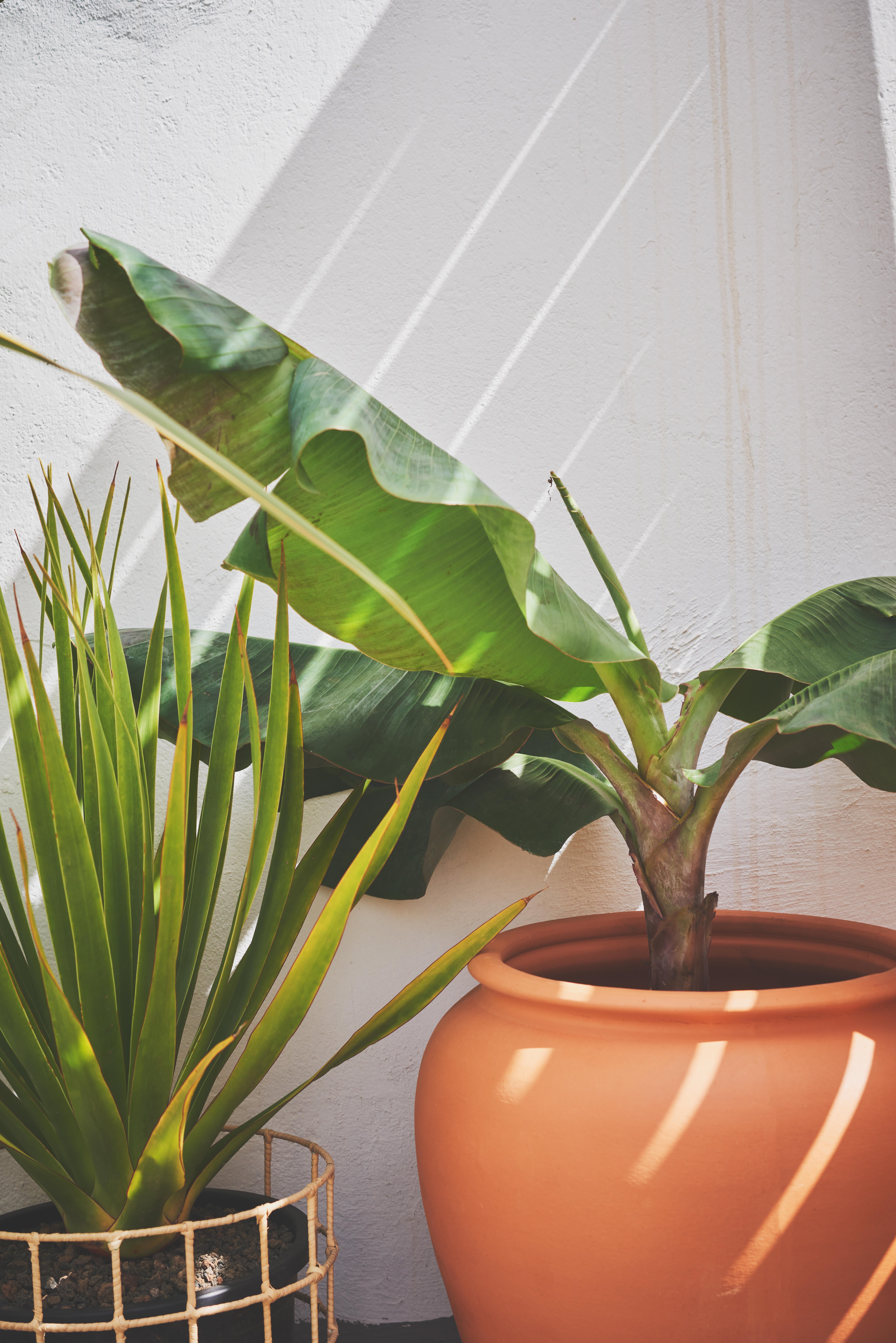 Cesto de bambu cuadricula 30x30 cm castanho - 10