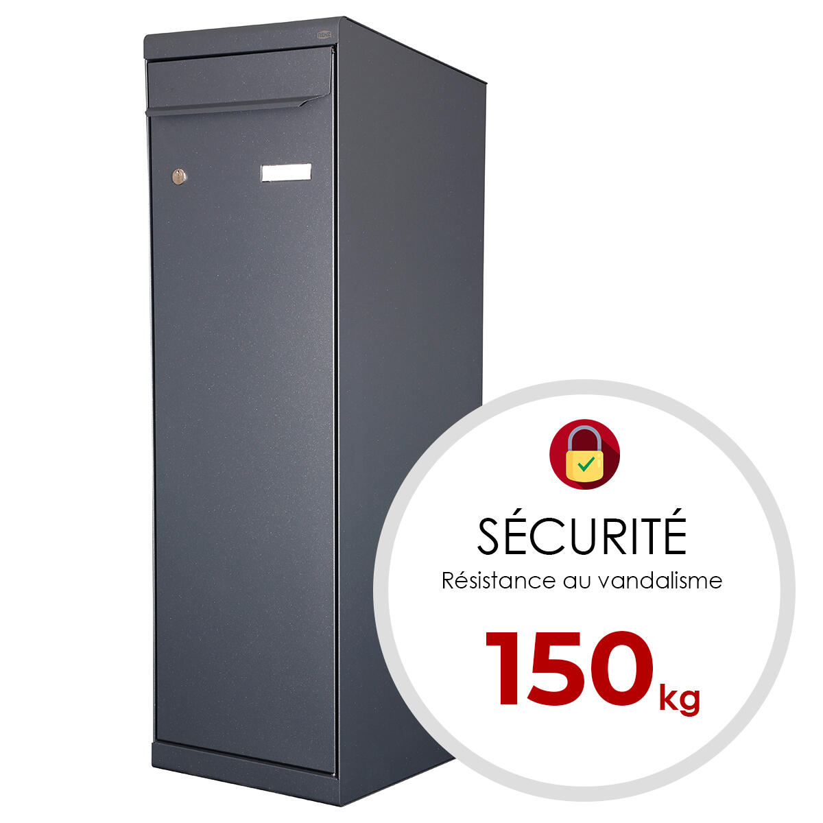 Boîte à colis normalisée la poste 1 porte extérieur RENZ Twin xl acier gris - 5
