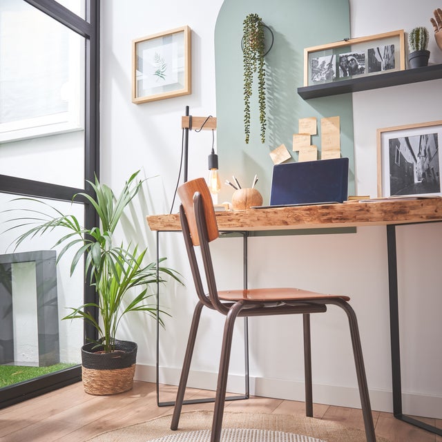 Rincón de trabajo decorado con plantas. 