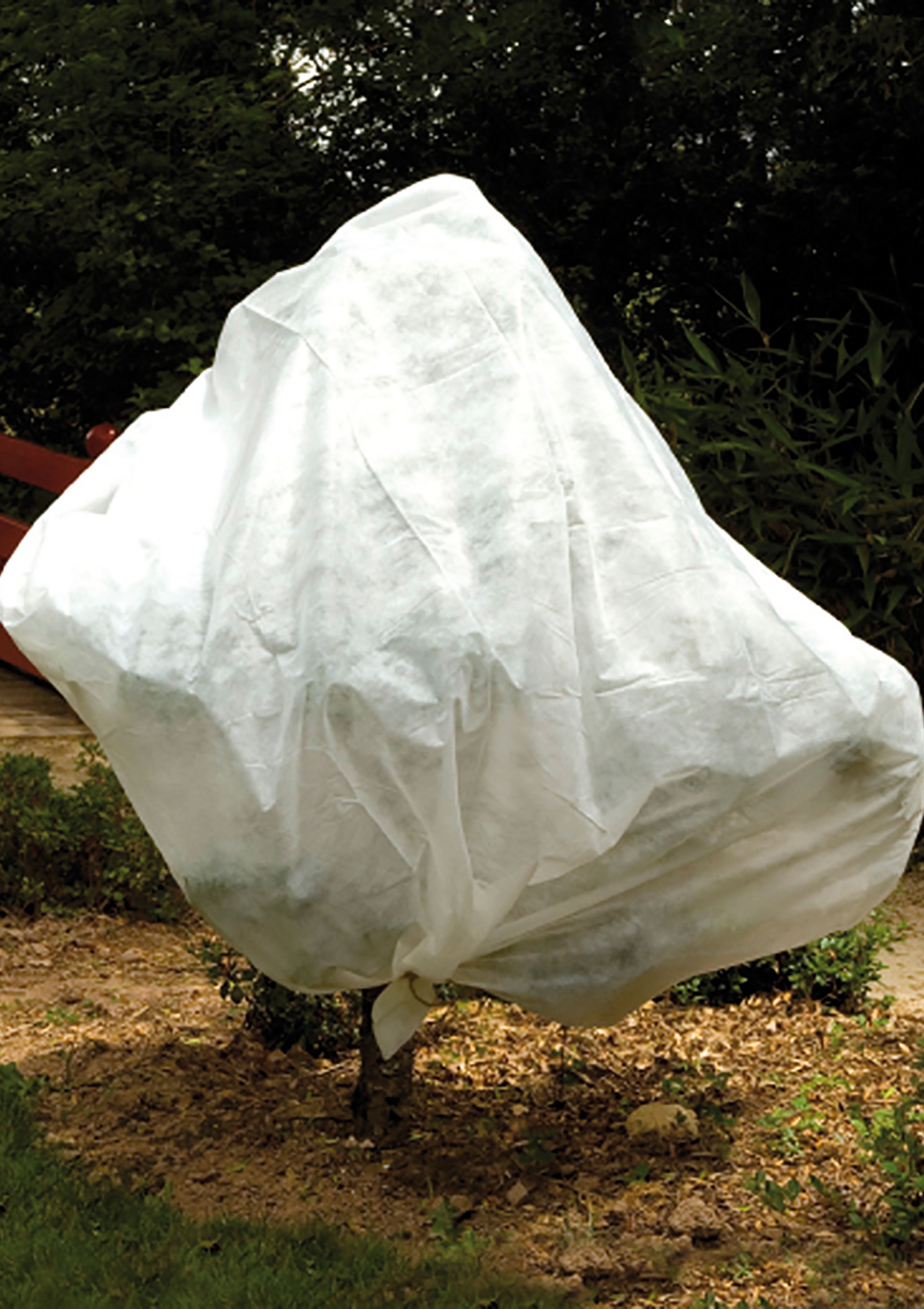 Voile d'hivernage 2mx5m 30gr/m² - 3