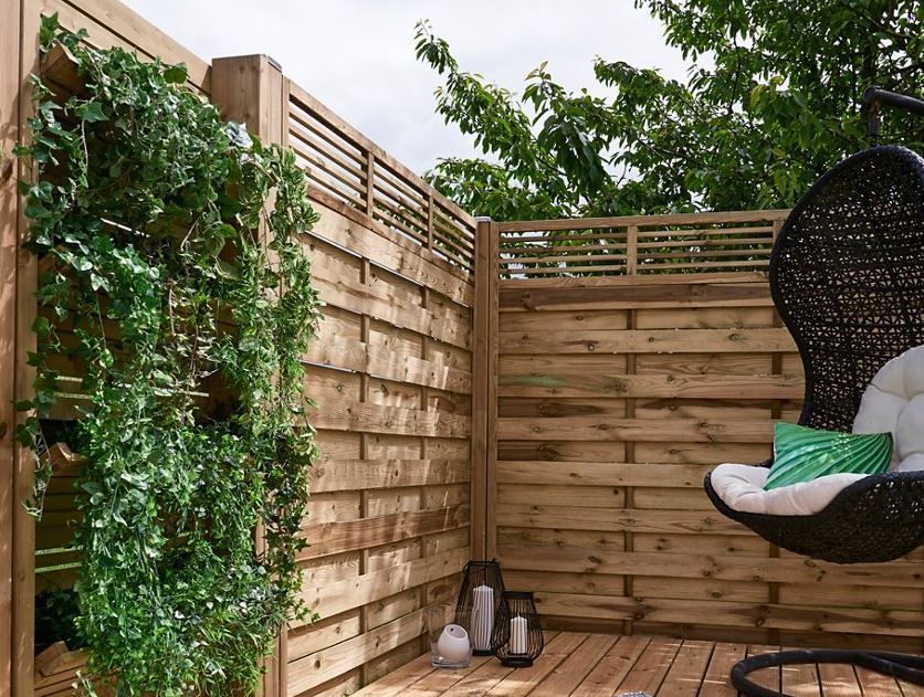Cuáles son mejores plantas para tu jardín vertical o balcón? Leroy Merlin