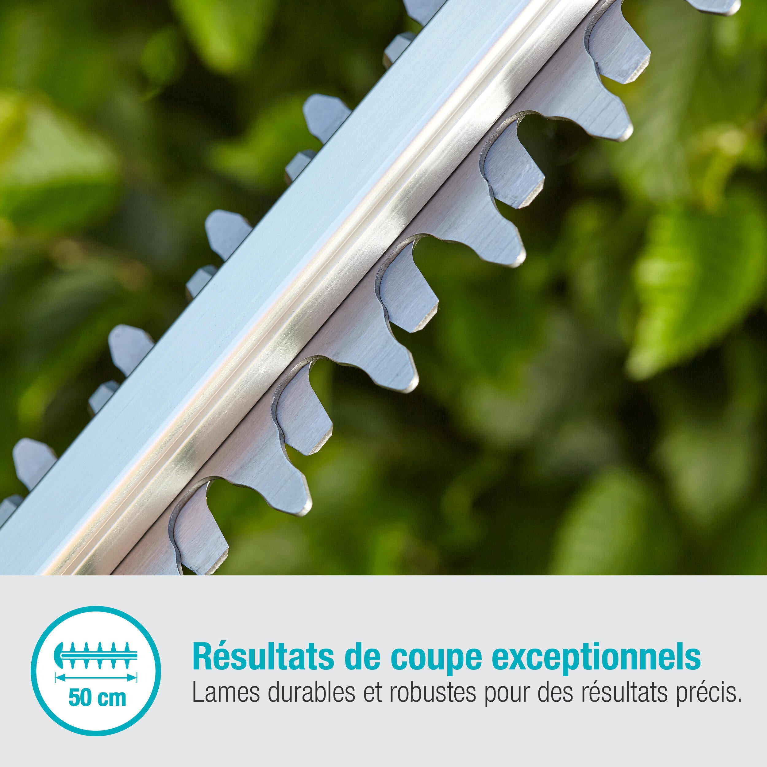 Taille haie batterie Gardena lames robustes - 1