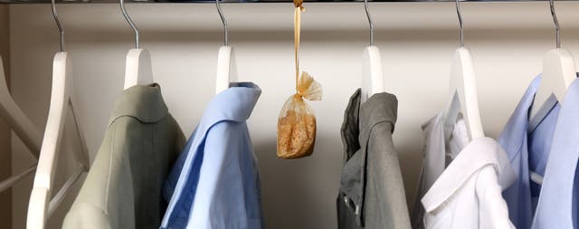 Cosa mettere negli armadi per evitare la muffa: guida completa | Leroy