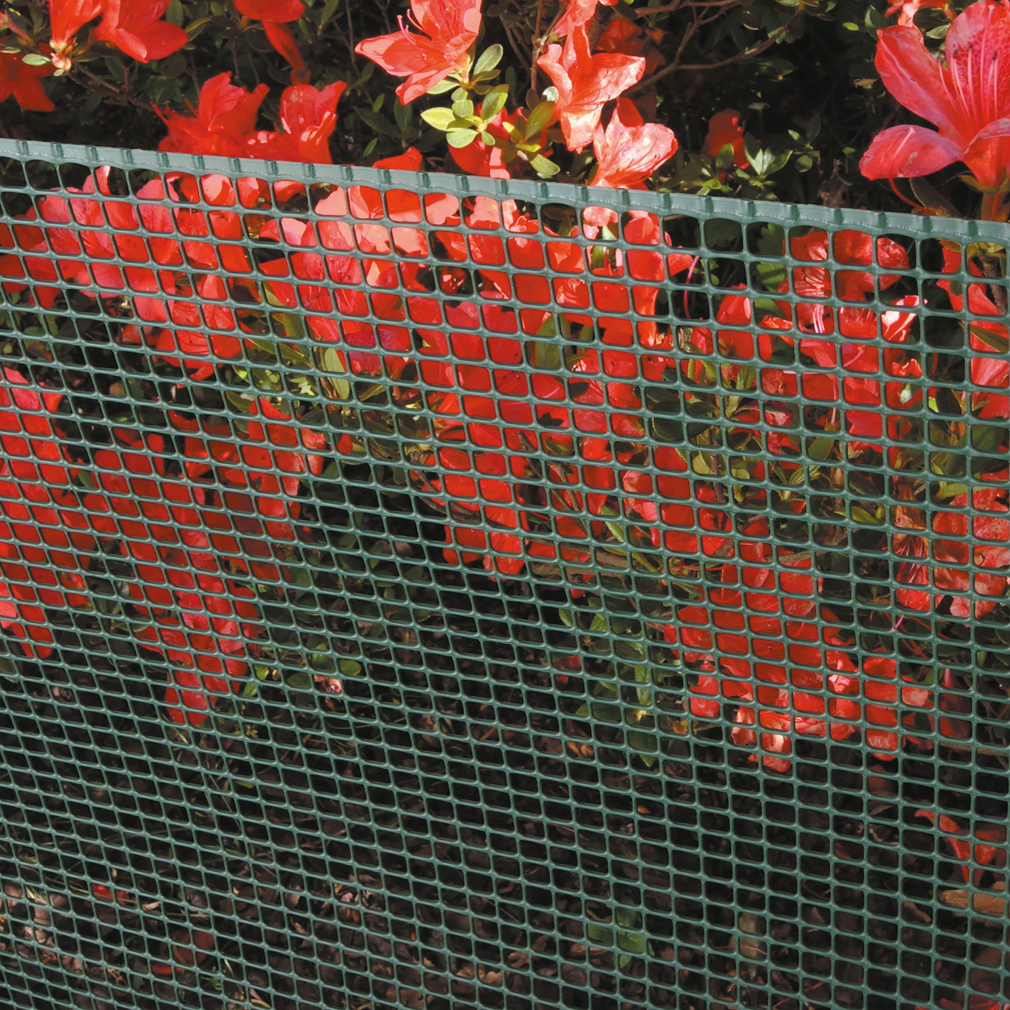 Rete in plastica Quadra 10 verde H 1 x L 5 m - 4