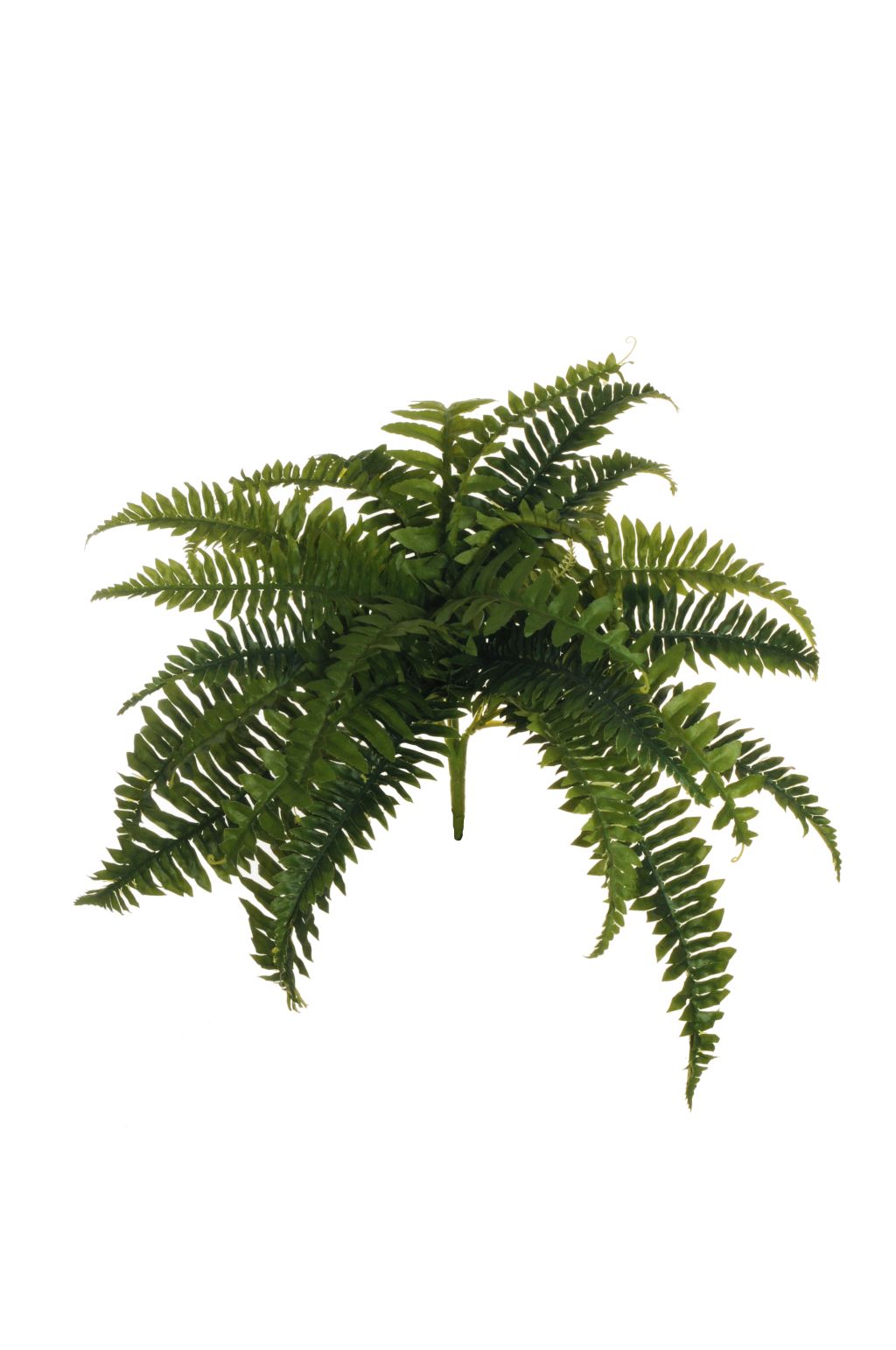 Allazone Piante Appese Artificiali Per Terrario - 2 Pezzi Felce Finta Boston Verde Per Rettili E Decorazione - Foto 14