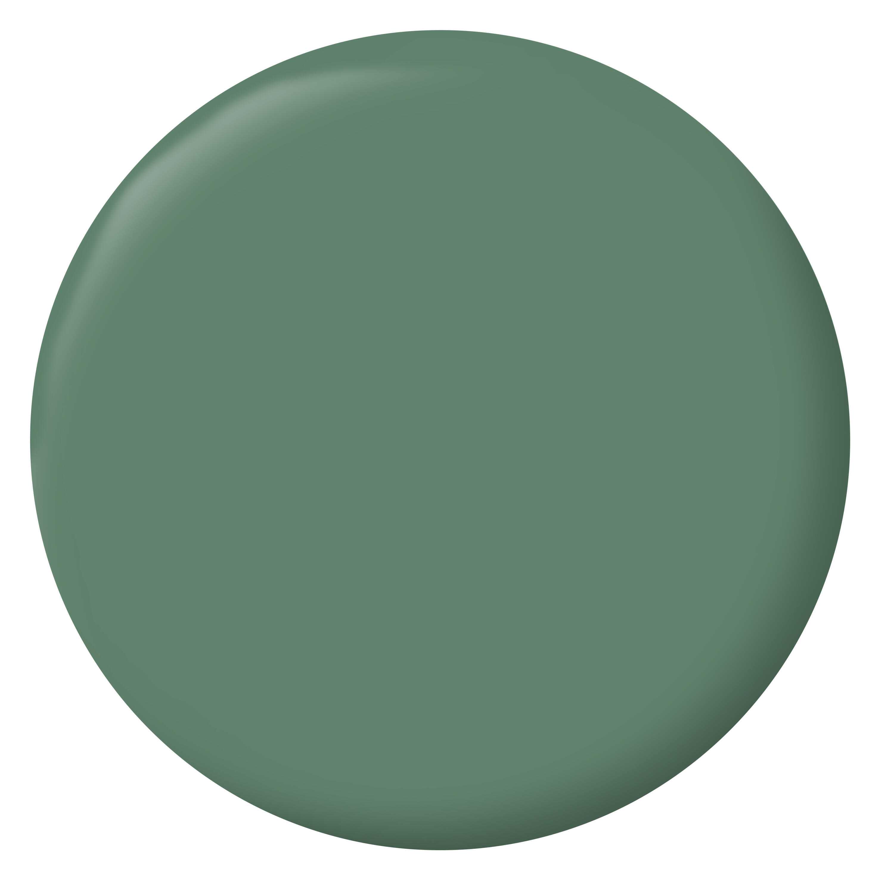 Peinture mur, boiserie, radiateur vert comic mat RIPOLIN , 0.5L - 2