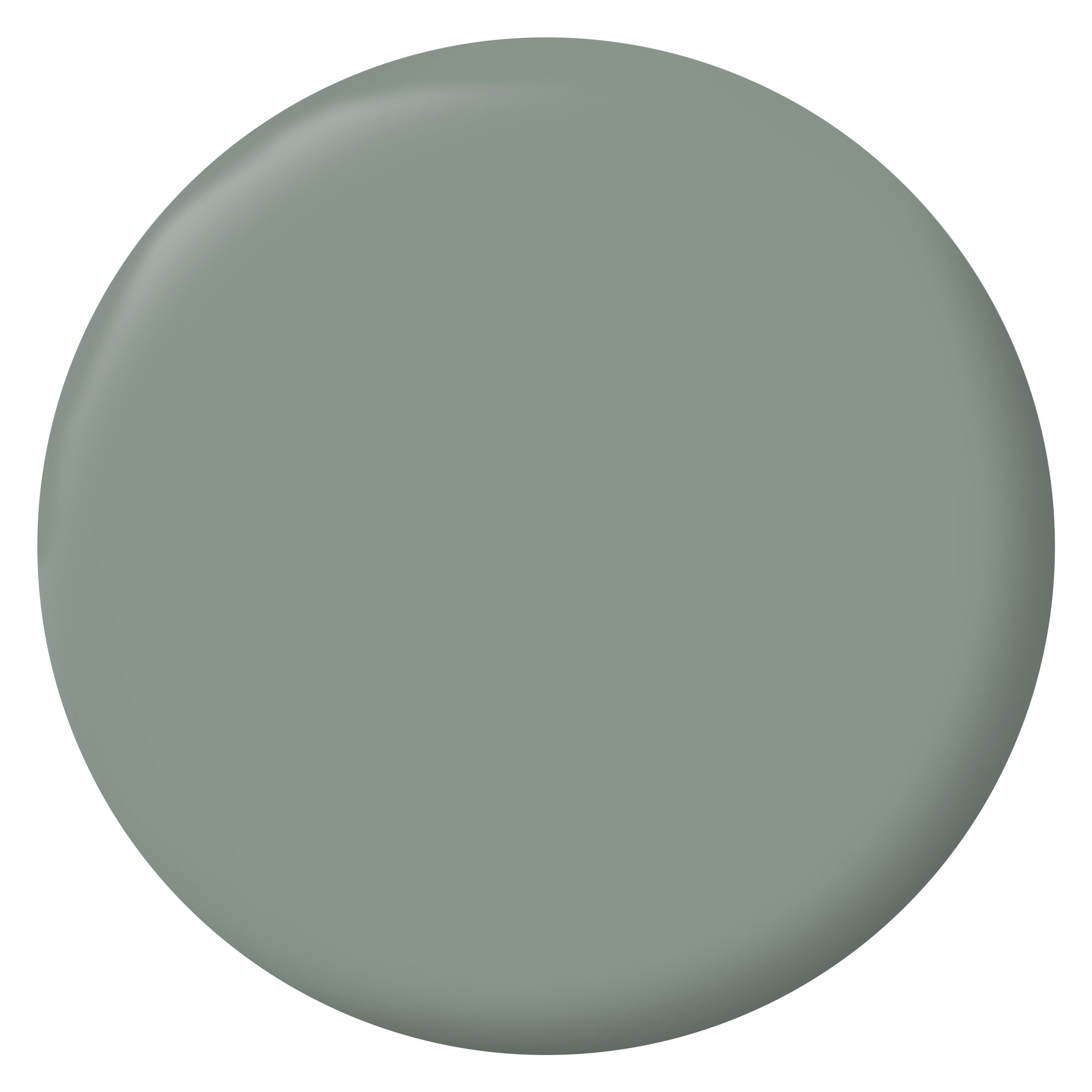 Peinture mur, boiserie, radiateur vert nobile satin RIPOLIN , 0.5L - 2