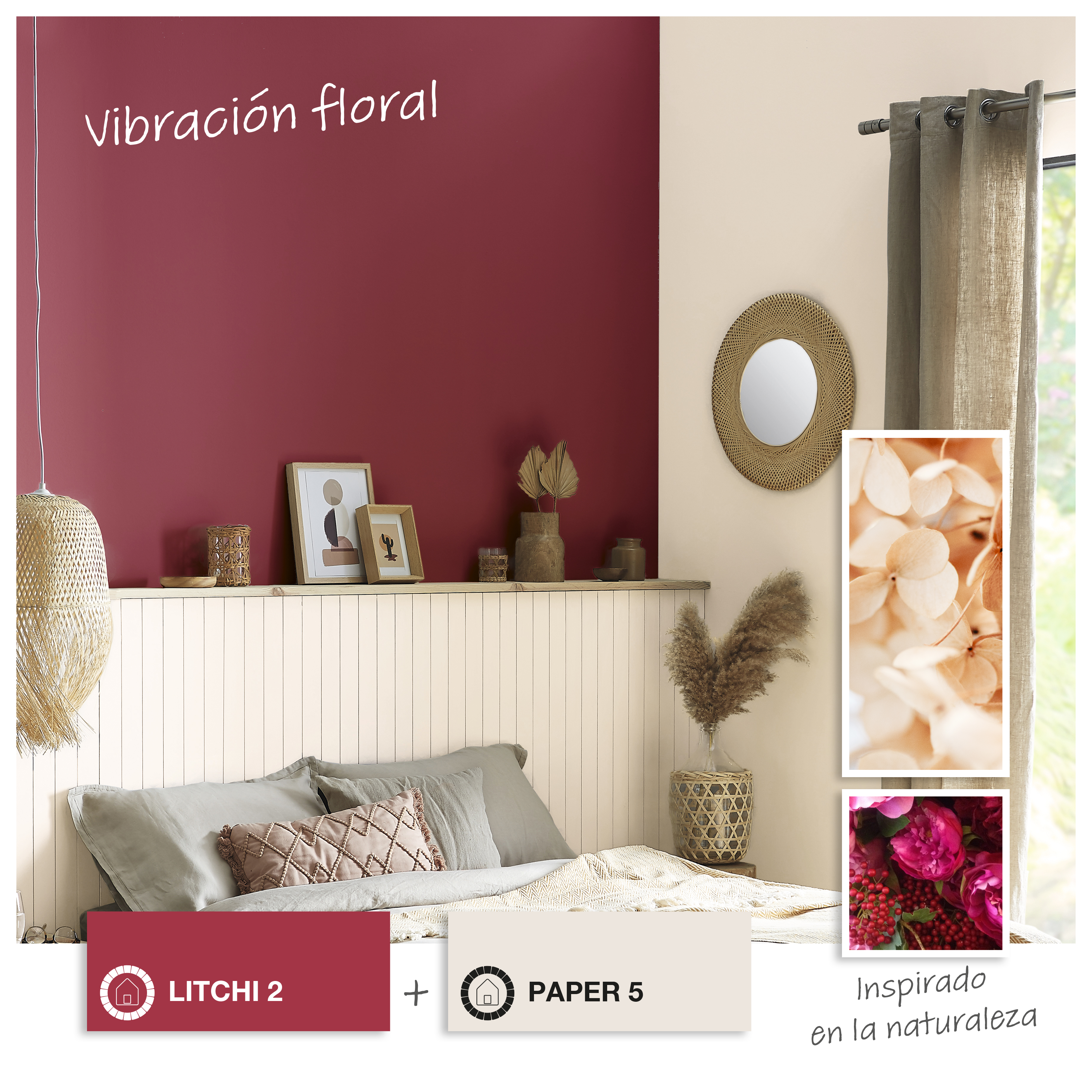 Pintura de interior Biobase LUXENS color litchi 2 mate 2.5L para paredes y techos - 7