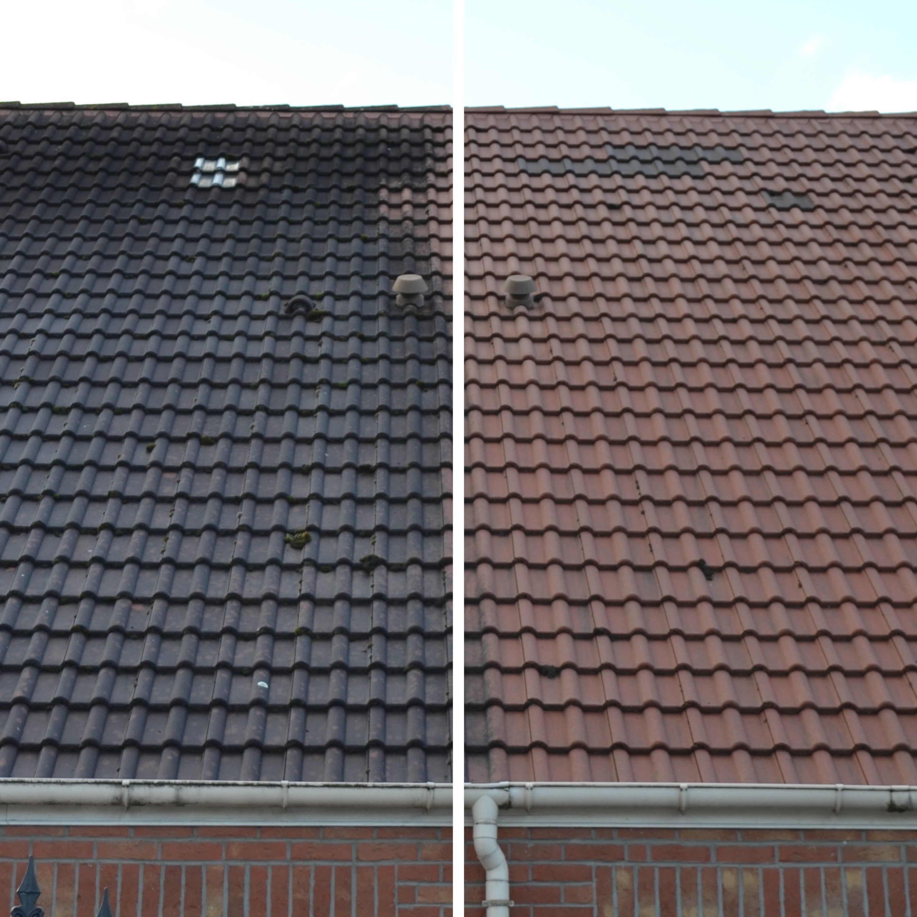 Nettoyant GUARD INDUSTRIE Wash'guard express 5 l, incolore - 5