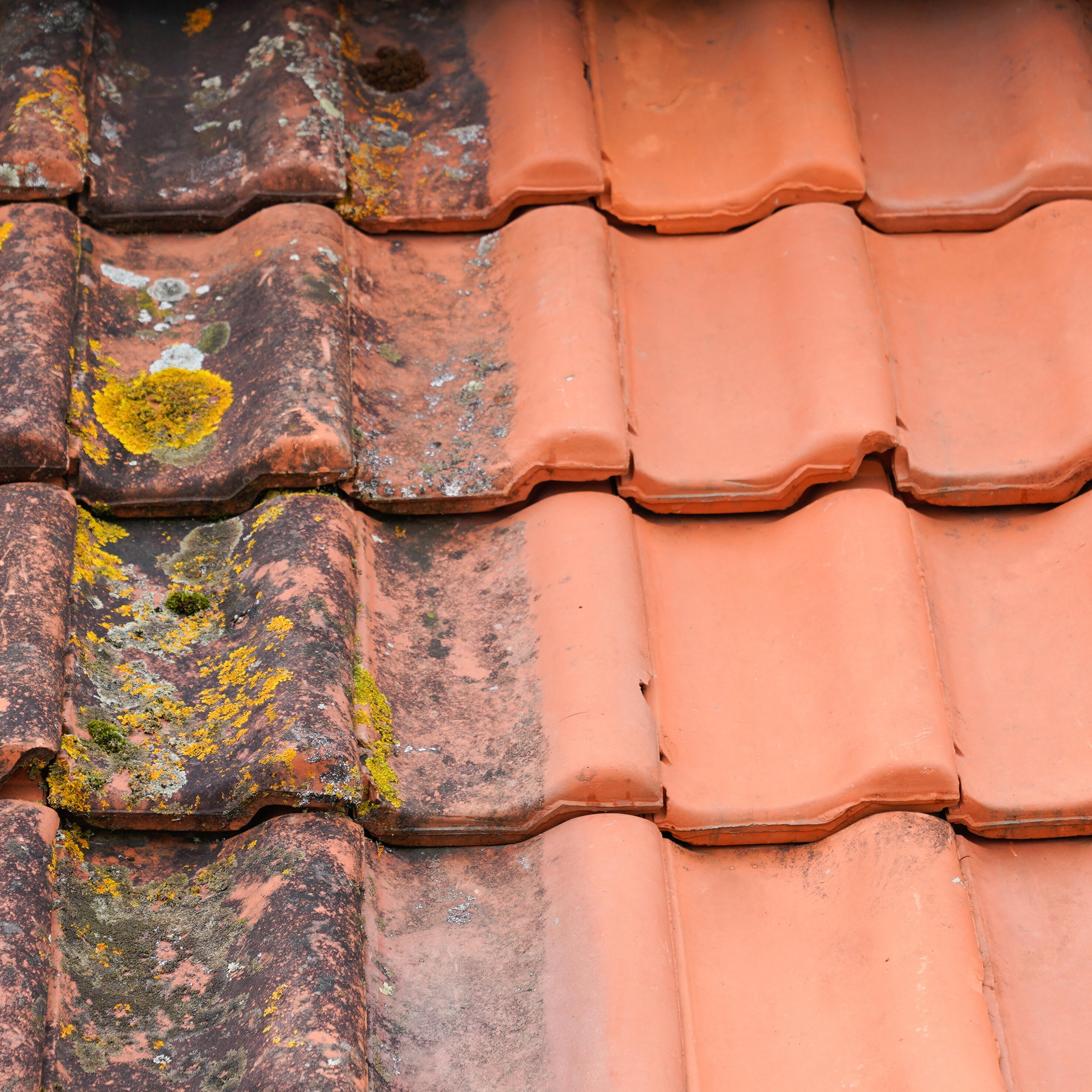 Traitement Anti dépôt vert 2 en 1 GUARD INDUSTRIE, 5 L ultra concentré - 4