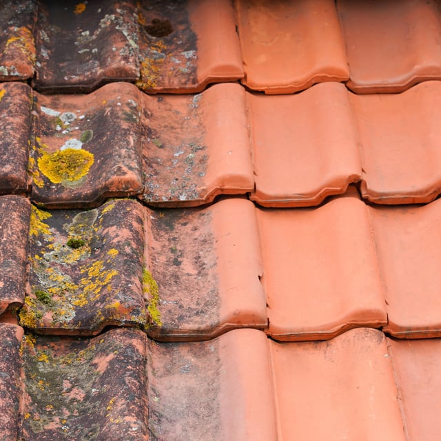 Nettoyant pour toiture, façade et sol 20L GUARD INDUSTRY