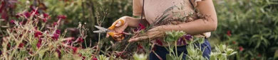 Fiskars