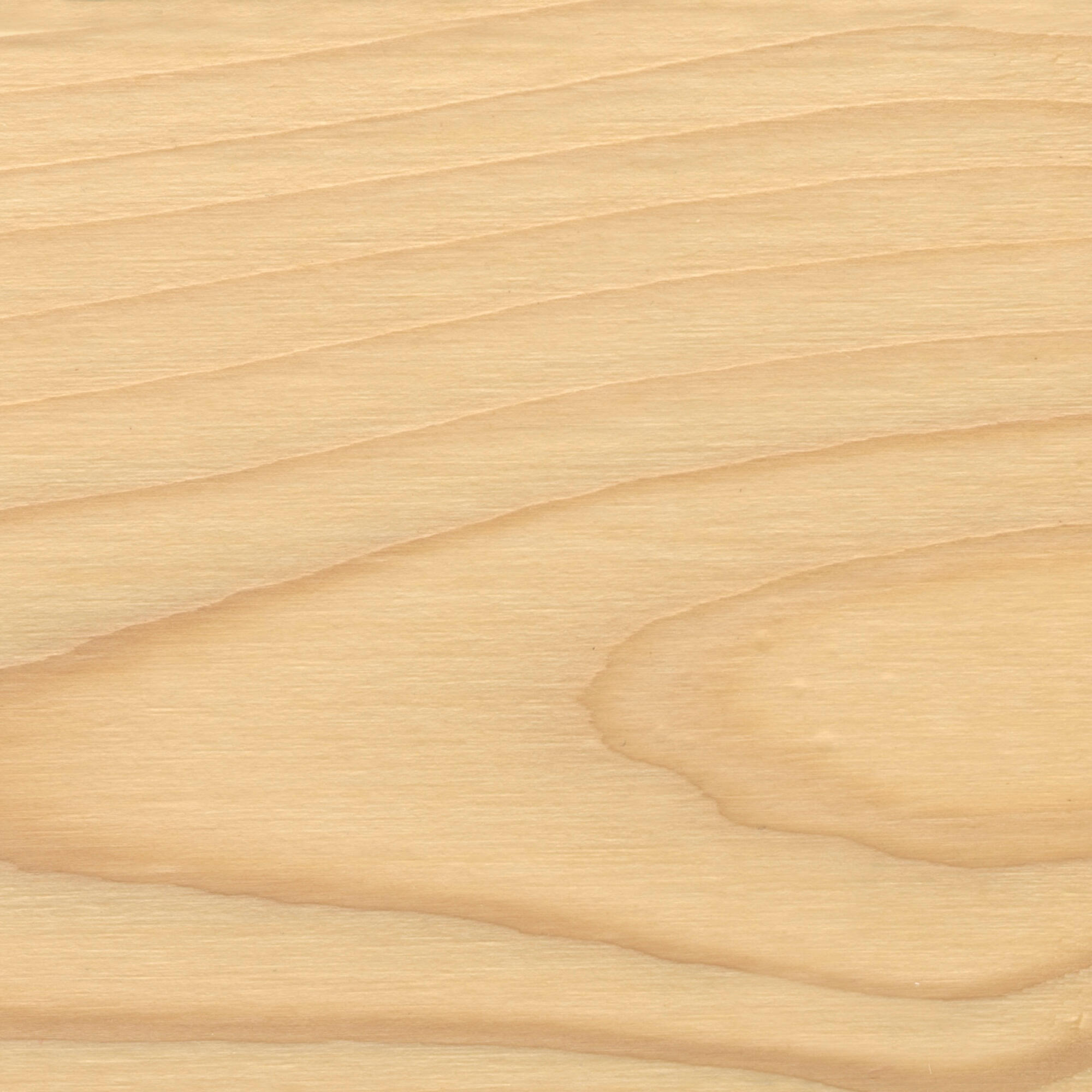 Protector madera exterior color incoloro para caseta de jardín, ventana, puerta, persiana, valla XYLAZEL mate 750 ml base agua - 3