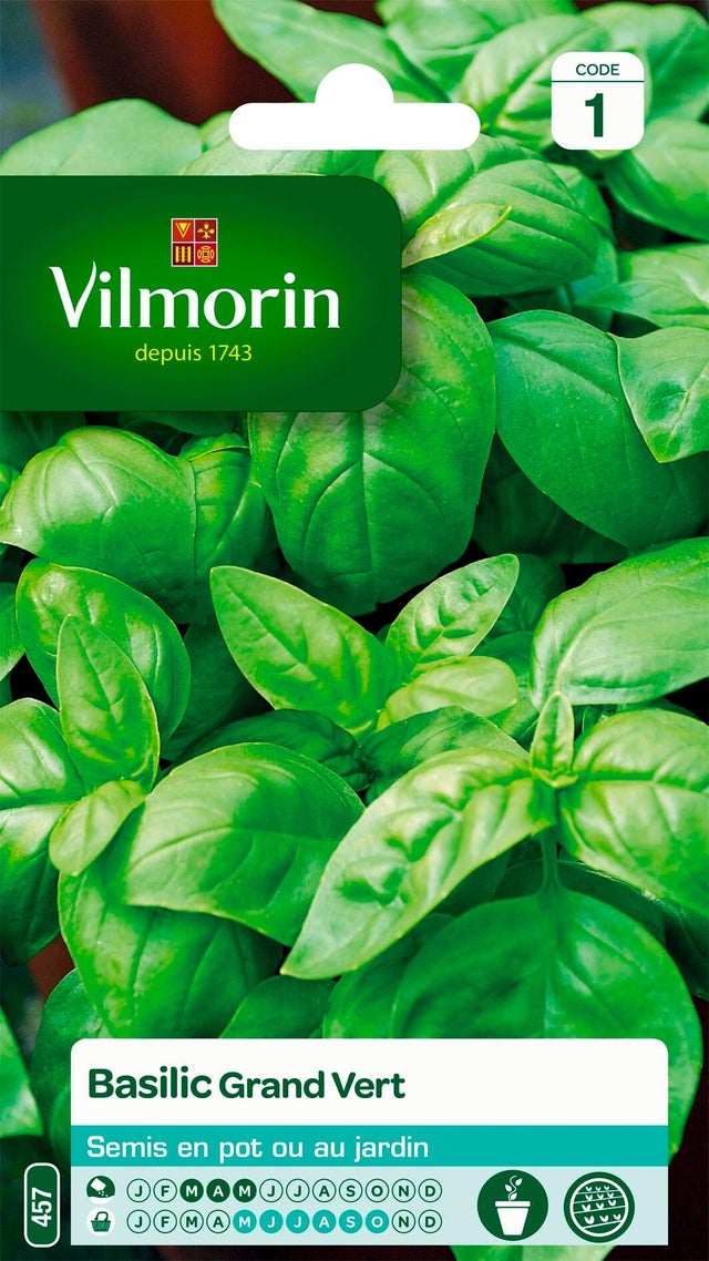 Graines de basilic VILMORIN 2 g