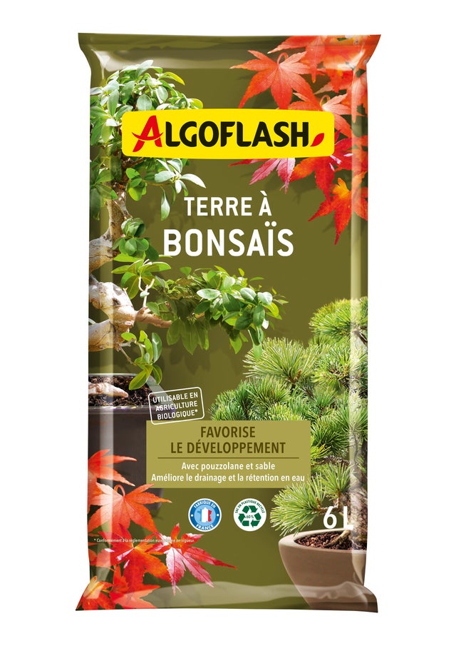 Terreau bonsai au meilleur prix | Leroy Merlin