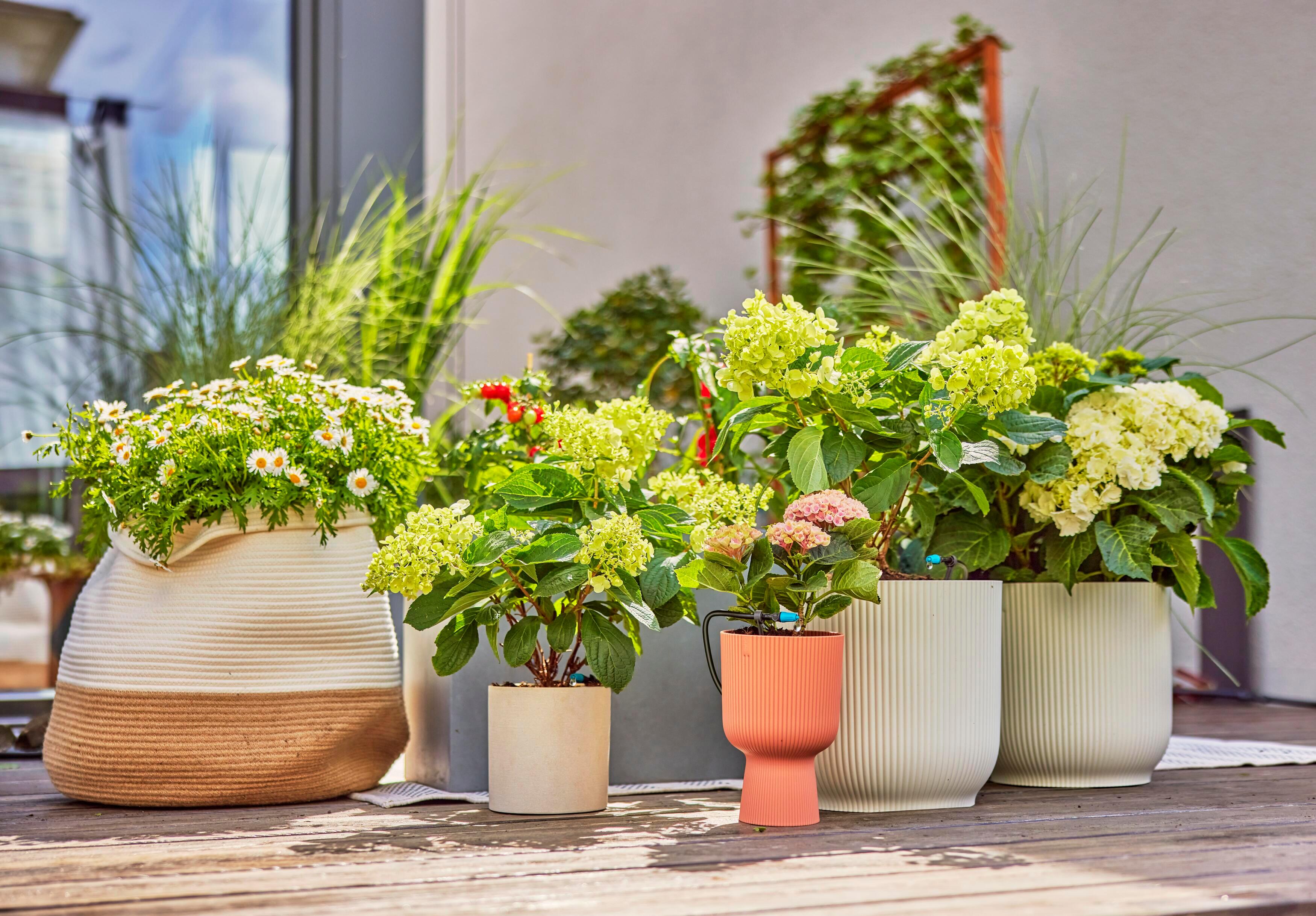 Kit d'arrosage goutte-à-goutte pour Terrasse 30 plantes GARDENA 13400-20 - 10