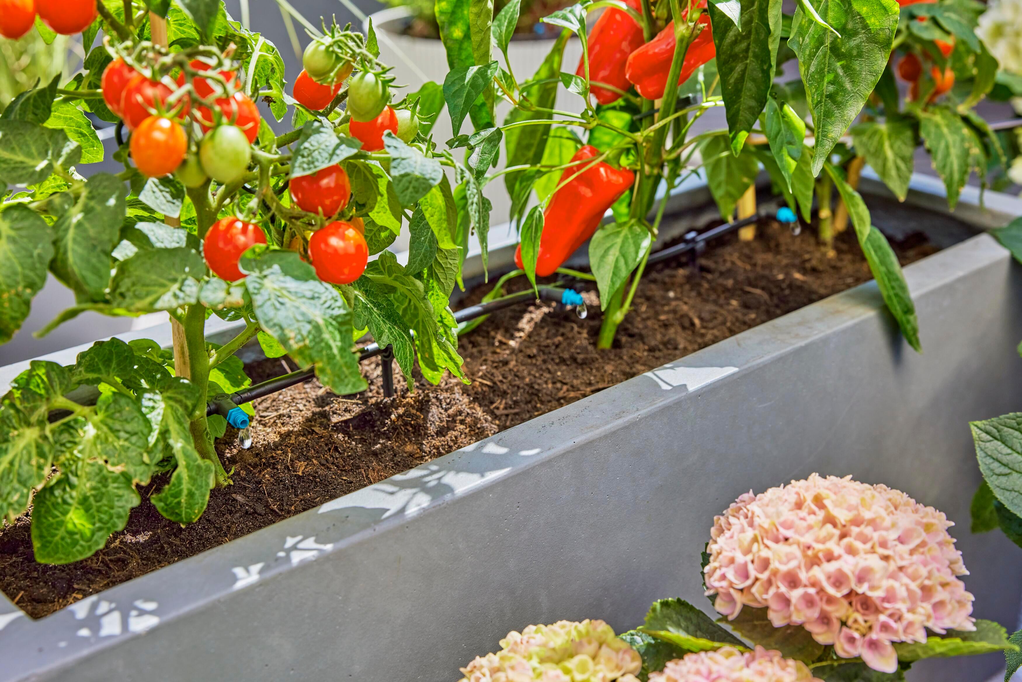 Kit d'arrosage goutte-à-goutte pour Terrasse 30 plantes GARDENA 13400-20 - 7