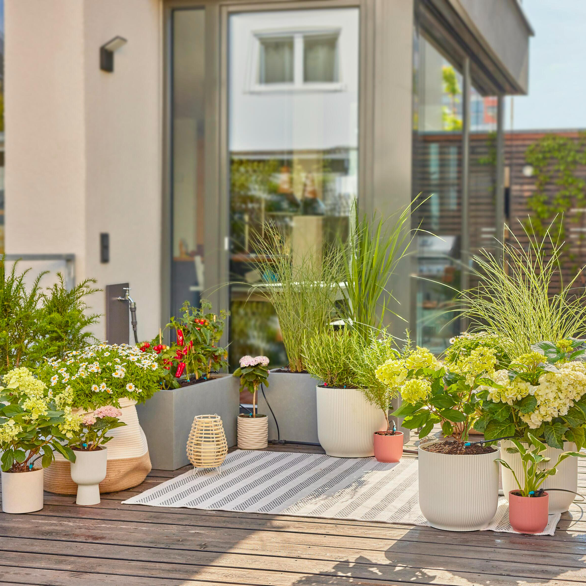 Kit d'arrosage goutte-à-goutte pour Terrasse 30 plantes GARDENA 13400-20 - 8