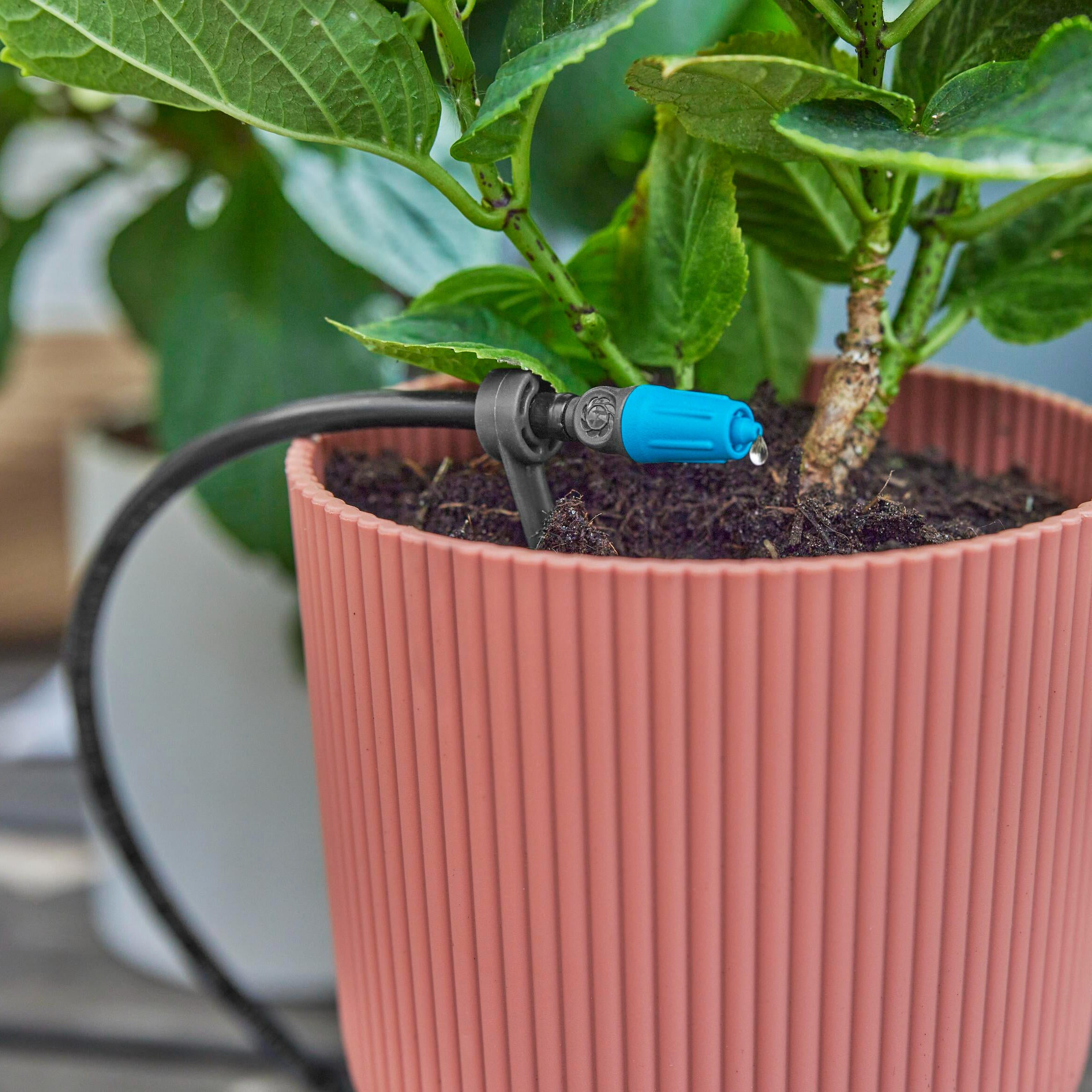 Kit d'arrosage goutte-à-goutte pour Terrasse 30 plantes GARDENA 13400-20 - 6