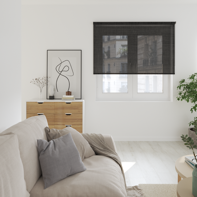 Store enrouleur screen Brasilia gris anthracite, l.180 x H.250 cm, INSPIRE