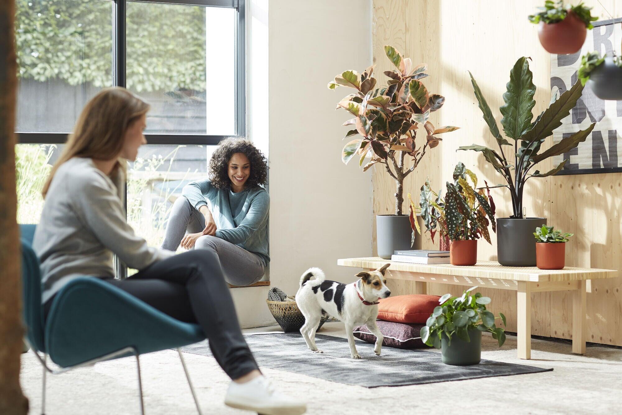 Cache-pot plastique ELHO Diam.16 L.16 x l.16 x H.14.9 cm anthracite - 2