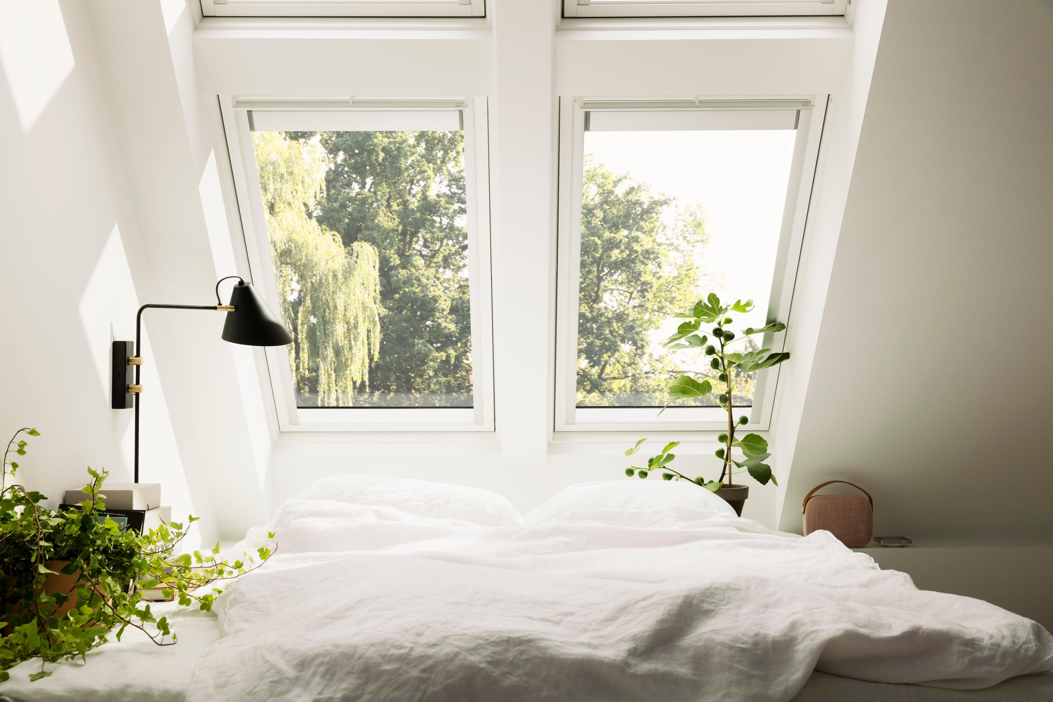 VELUX 55 x 98 Confort WhiteFinish bois blanc à rotation GGL CK04 - 3