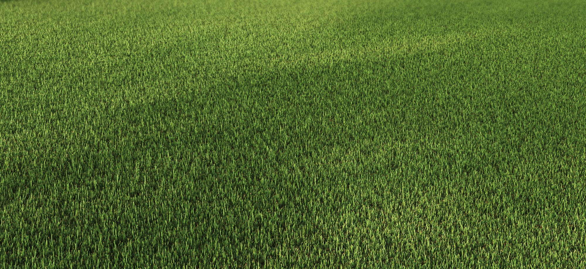 Césped artificial Zante.2  2x5 m 20 mm de altura de fibras y 13560 puntadas m² - 4