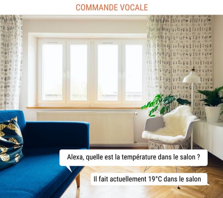 Thermomètre hygromètre Termo avec commande vocale