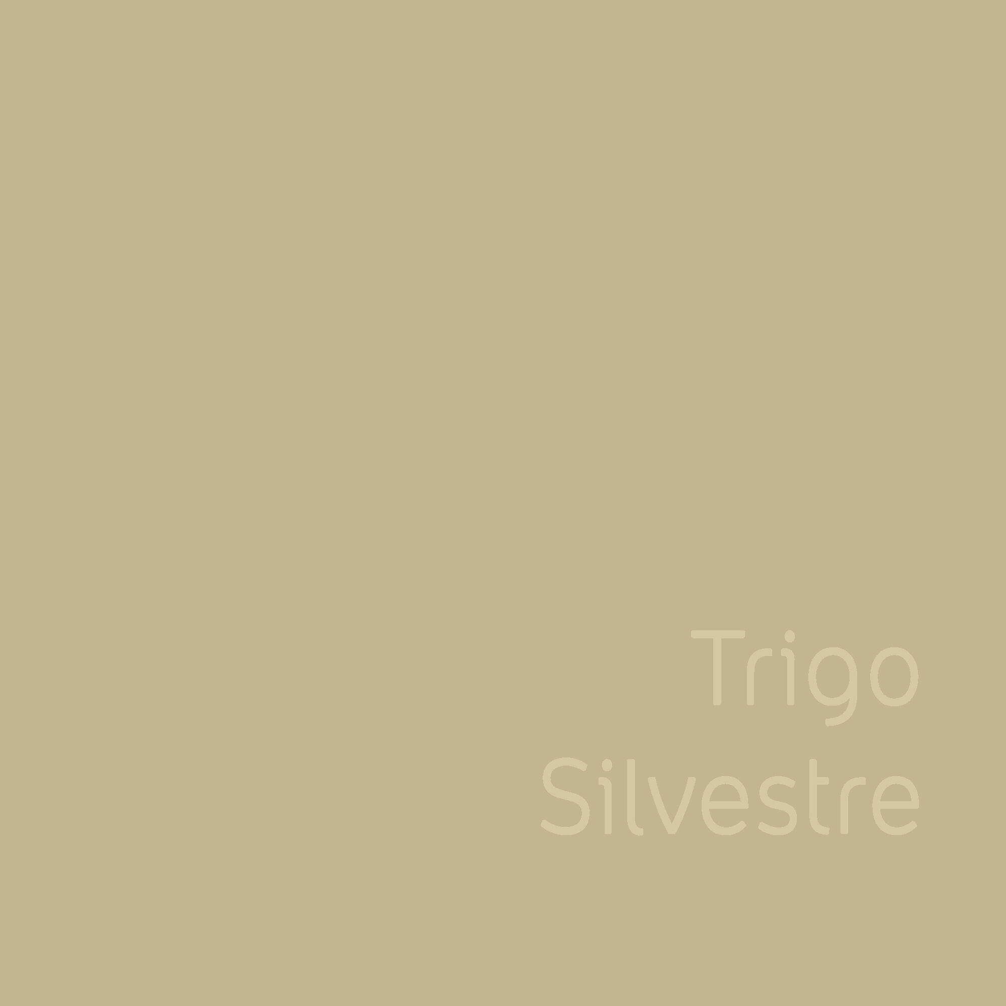 Pintura de interior Ambiance Ceramic BRUGUER color trigo silvestre mate ...