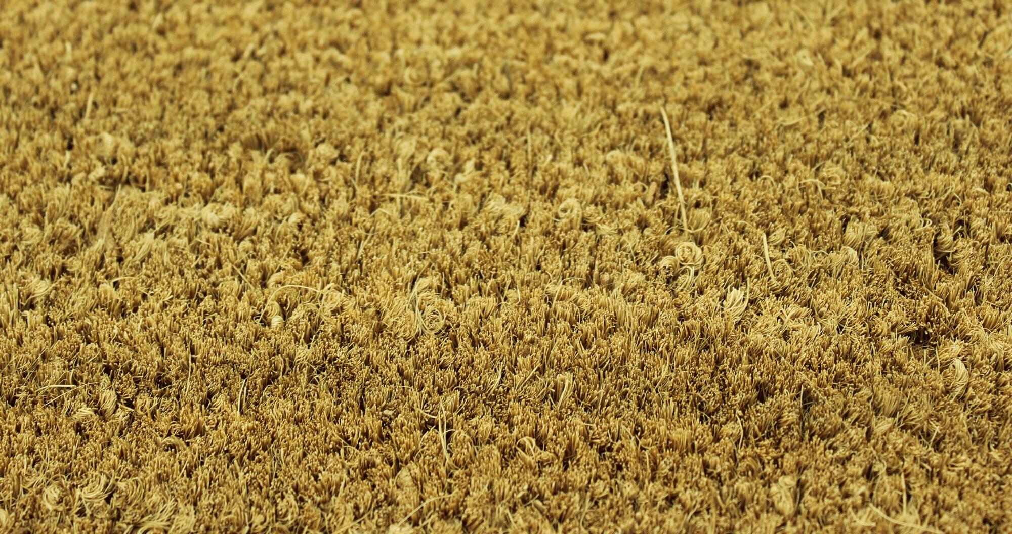 Felpudo de coco natural 17 mm · Venta al Corte · Ancho 140 cm. Pedido mínimo 1 m - 5