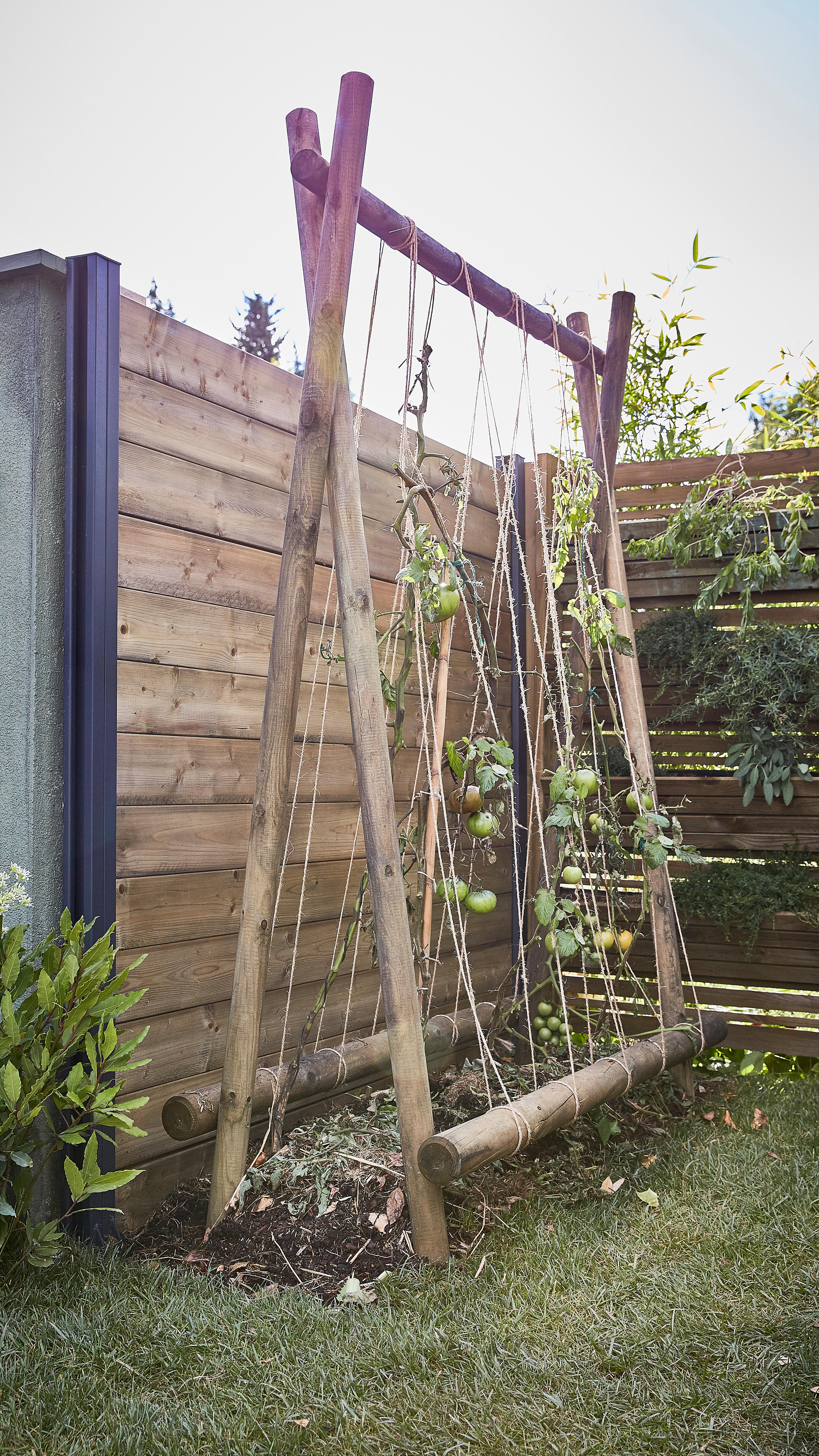Estaca de madera de 2,5 m de alto y 6 cm de diámetro - 2