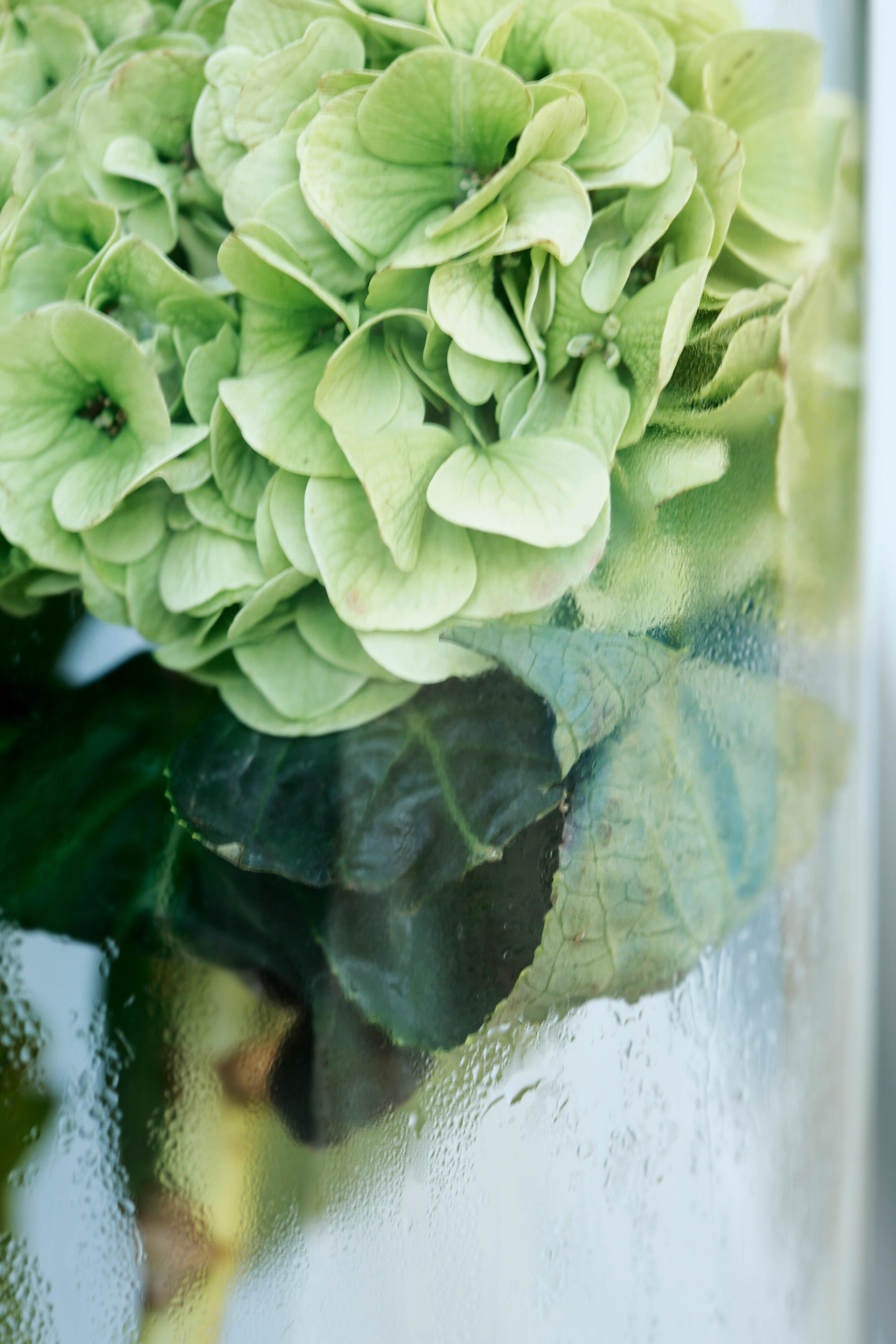 Deck de madeira PINHO 19MM 240X9,5CM - 32