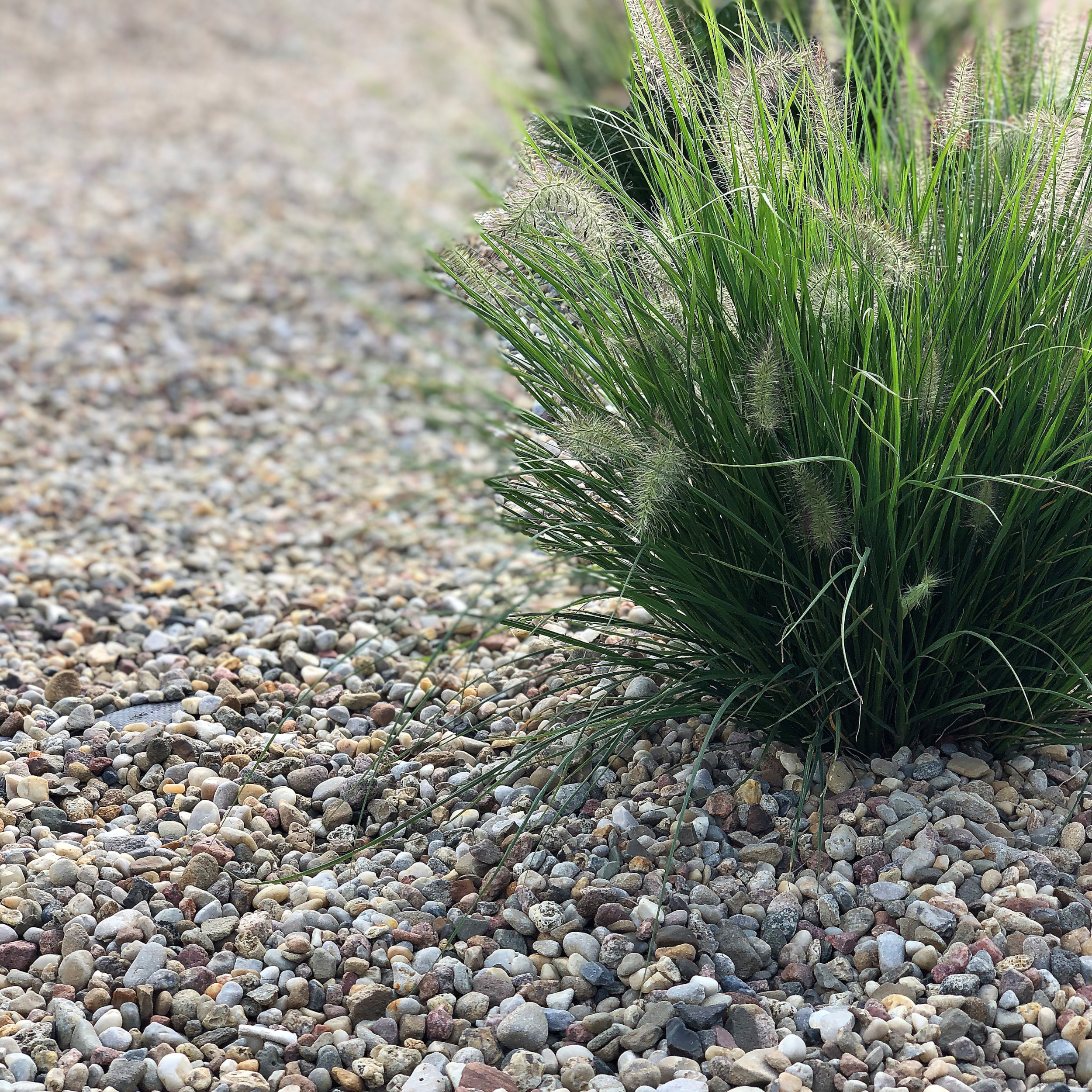 Żwir naturalny 16-22mm 20kg beżowy Garden Stones - 3