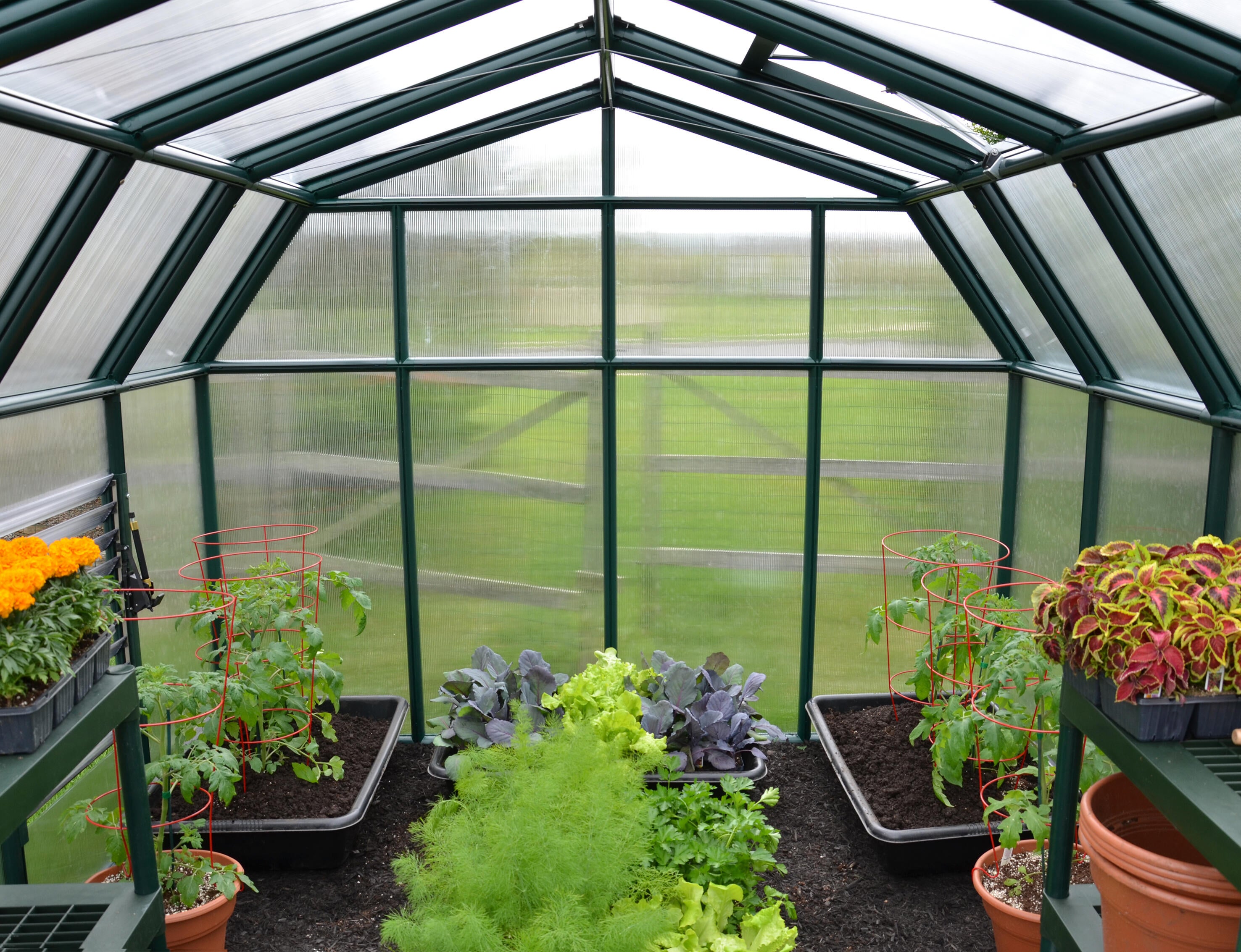 Serre de jardin Hobby Gardener - 0