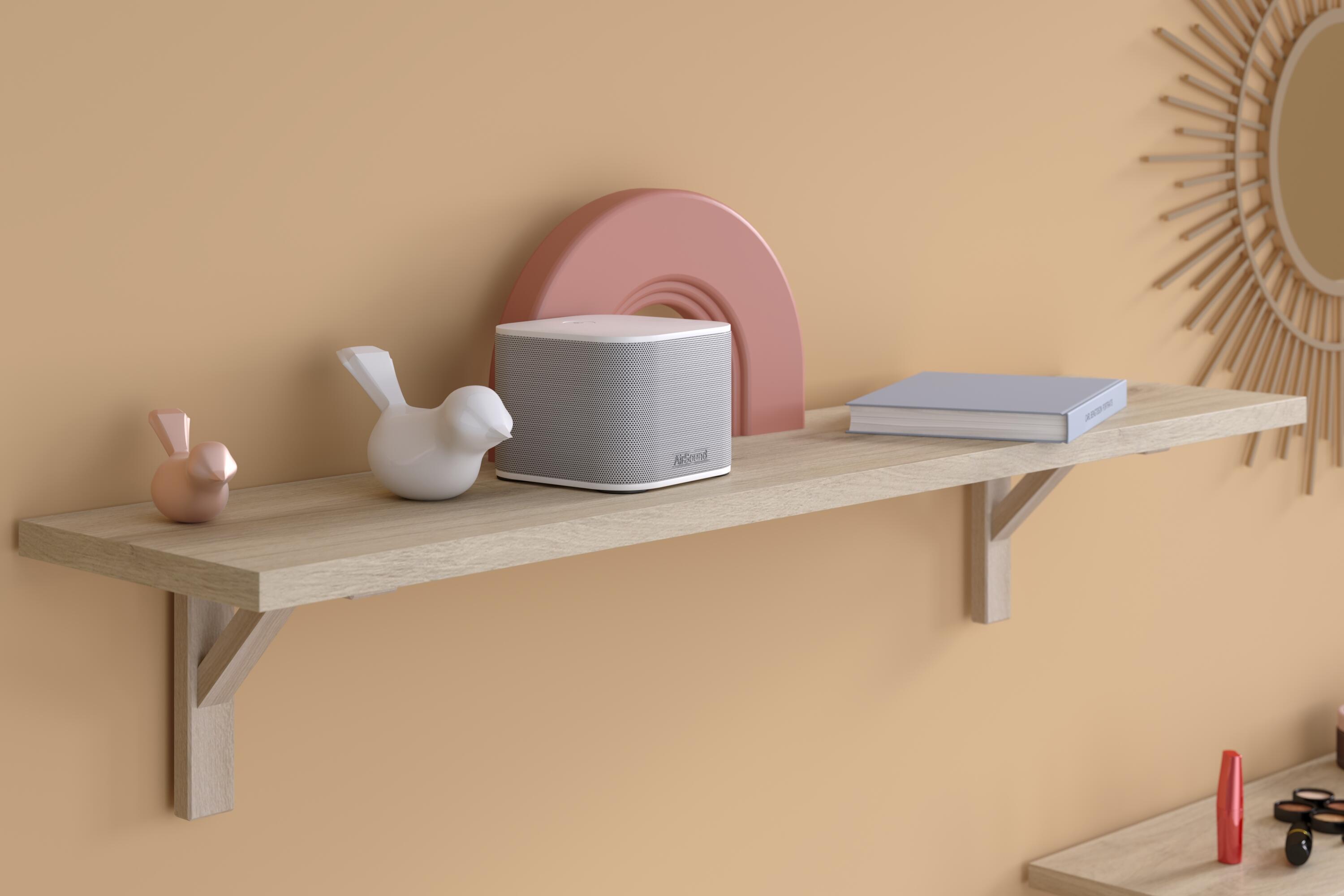 Tablette aggloméré mélaminé bois blanchi, L.250 x l.40 cm x Ep.18 mm - 5