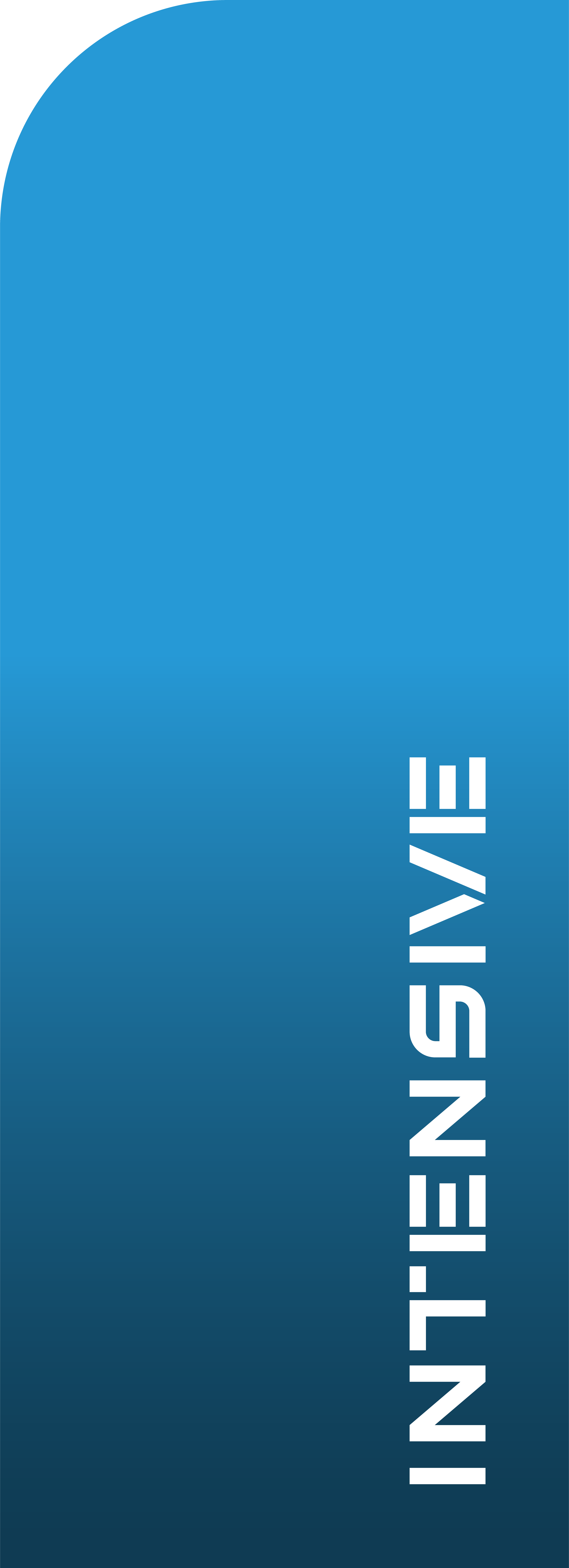 2 Pilhas LR20 alcalina Premium Lexman - 4