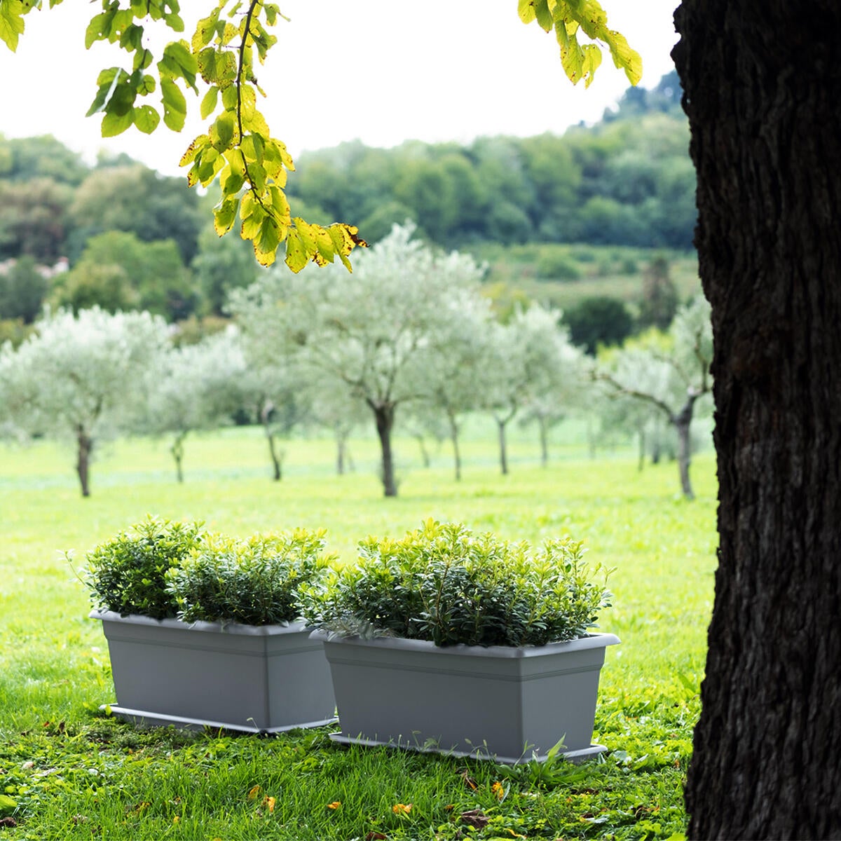 Sottovaso per vaso da fiori STEFANPLAST Mediterraneo in polipropilene di colore grigio L 100 x H 6 x P 38 cm - 2