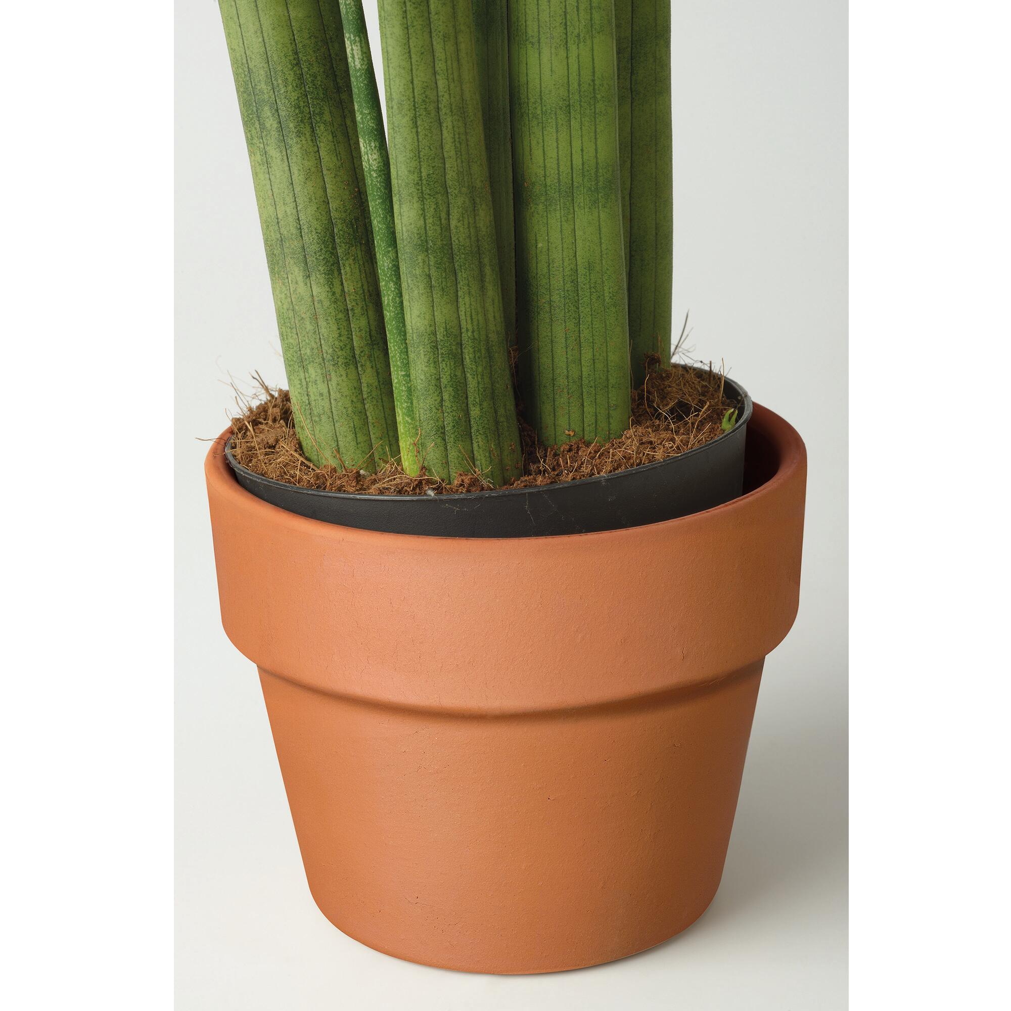 Maceta redonda de arcilla DEROMA Perfetto ø 11.5 cm y 9.2 cm altura rojo terracota - 4