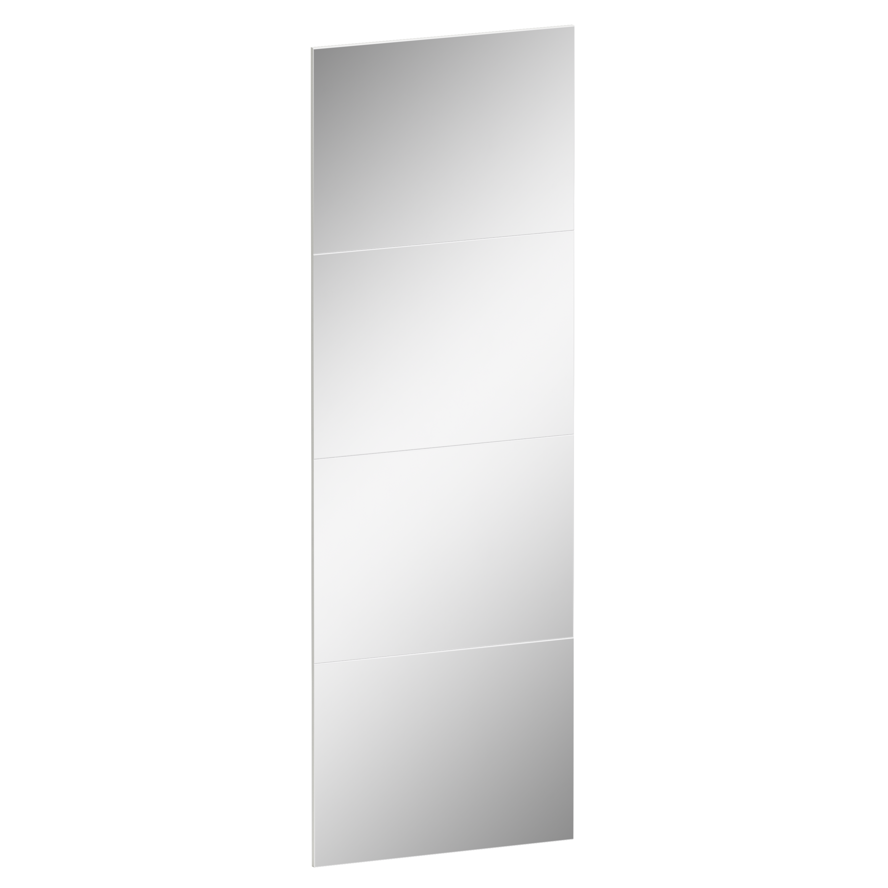 Puerta de armario corredera para módulo de armario spaceo evo'm riga espejo 80x230.4 cm (ancho x alto)