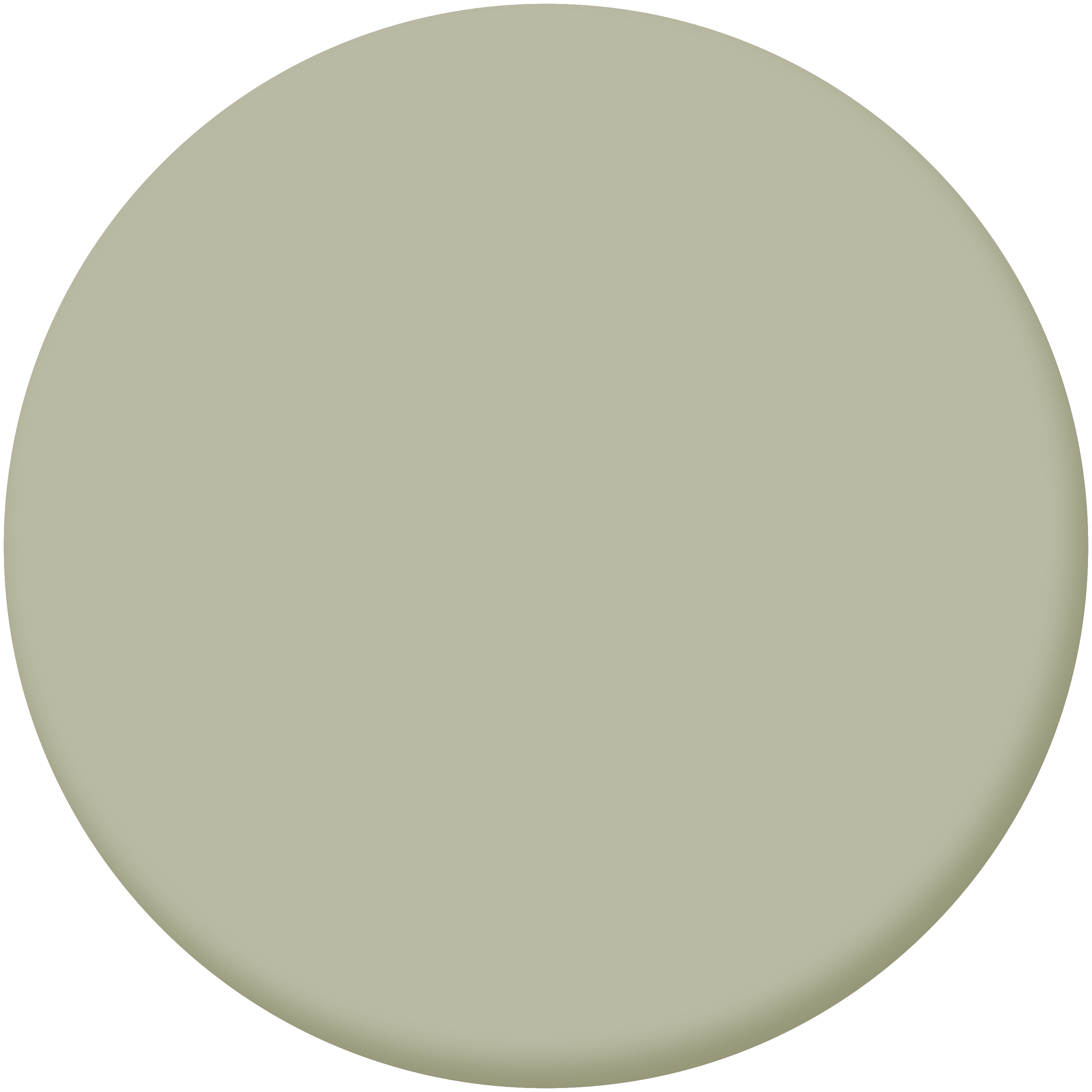 Peinture mur, boiserie, radiateur pampa 5 satin LUXENS , 2.5L - 2