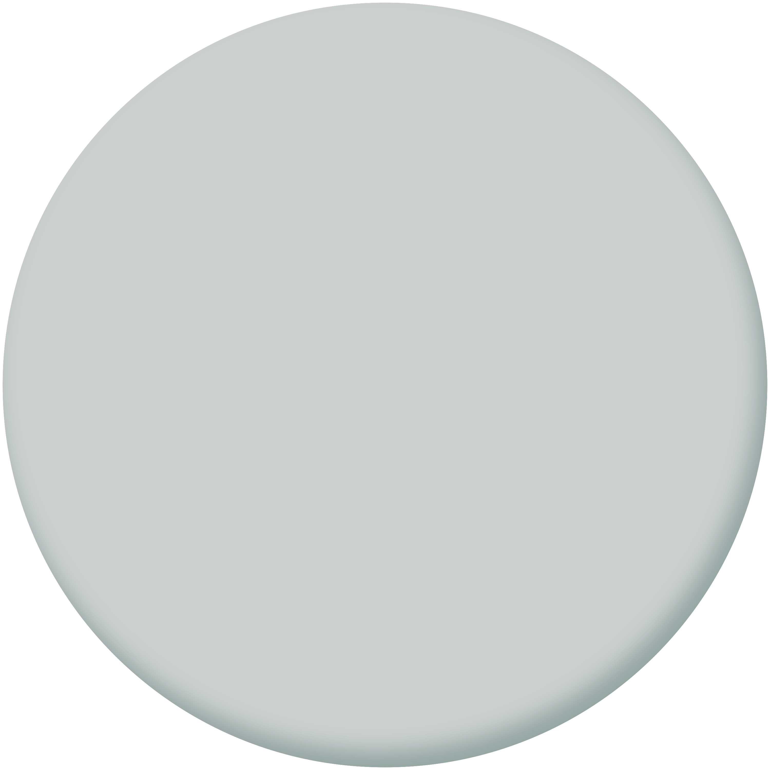 Pittura per interni per parete e soffitto lavabile, LUXENS murale grigio smoke 6 opaco, 2.5 L - 3