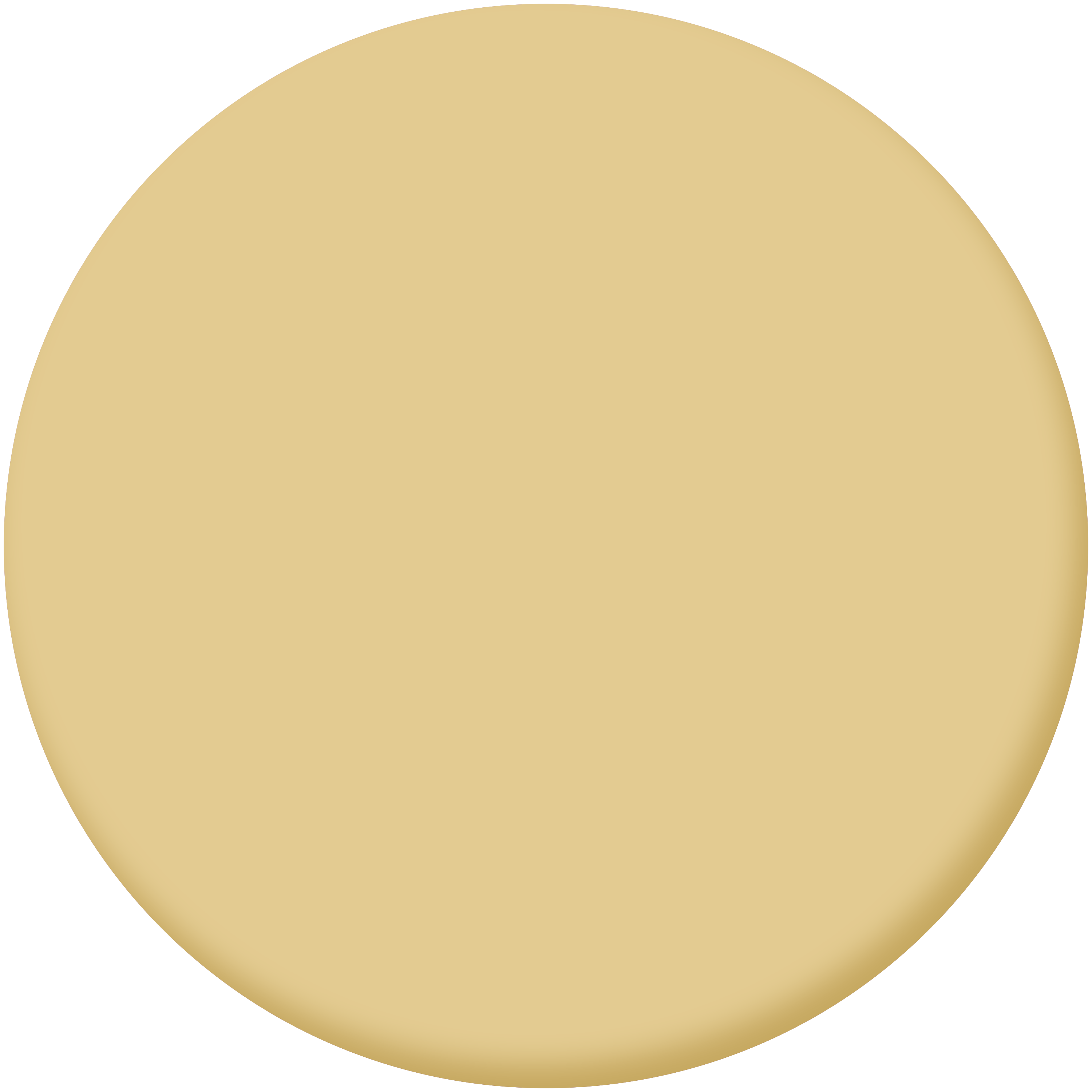 Tester de pintura ultralavable LUXENS color pecan 5 mate 75ml para paredes y techos - 3