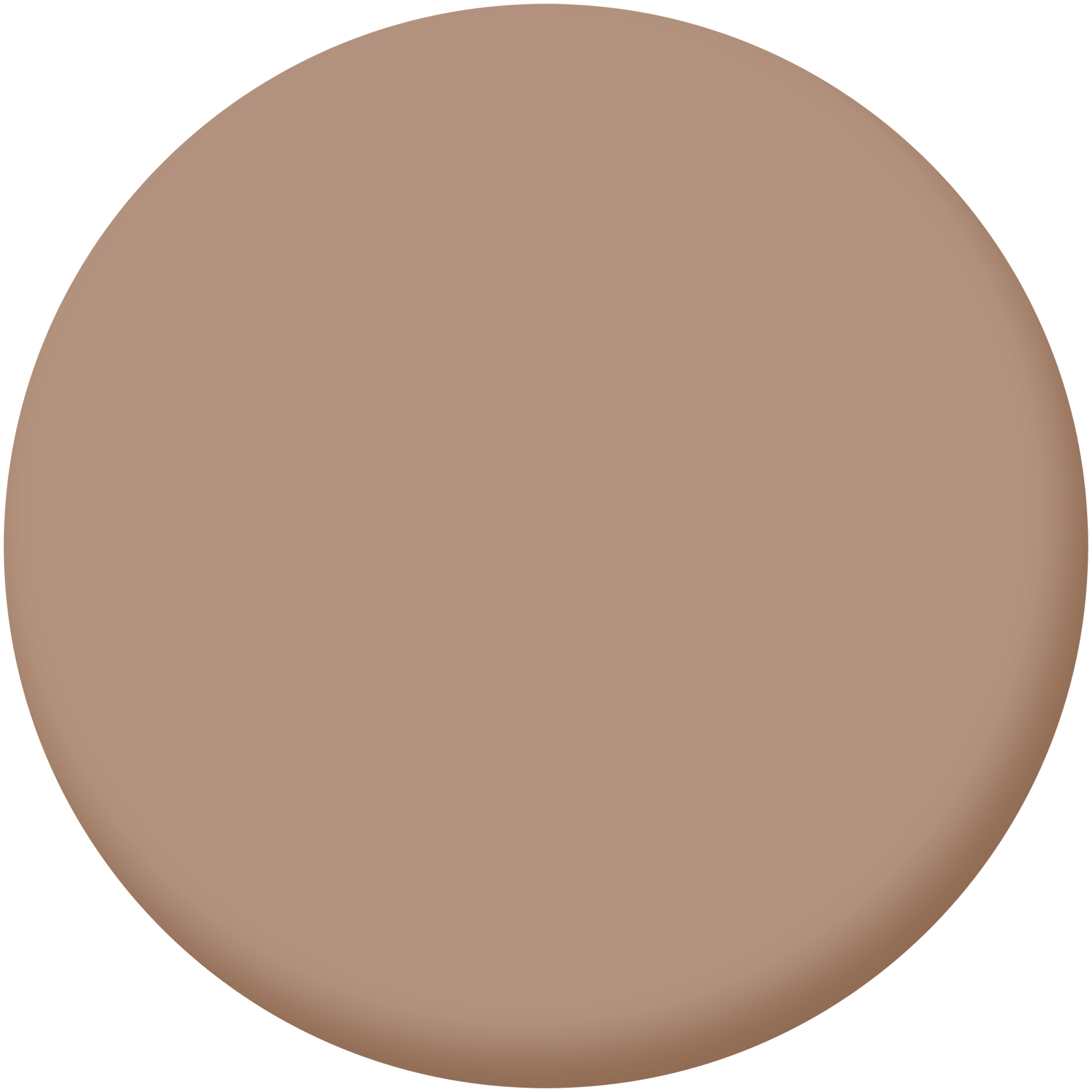 Peinture mur, boiserie, radiateur havana 4 satin LUXENS , 2.5L - 3