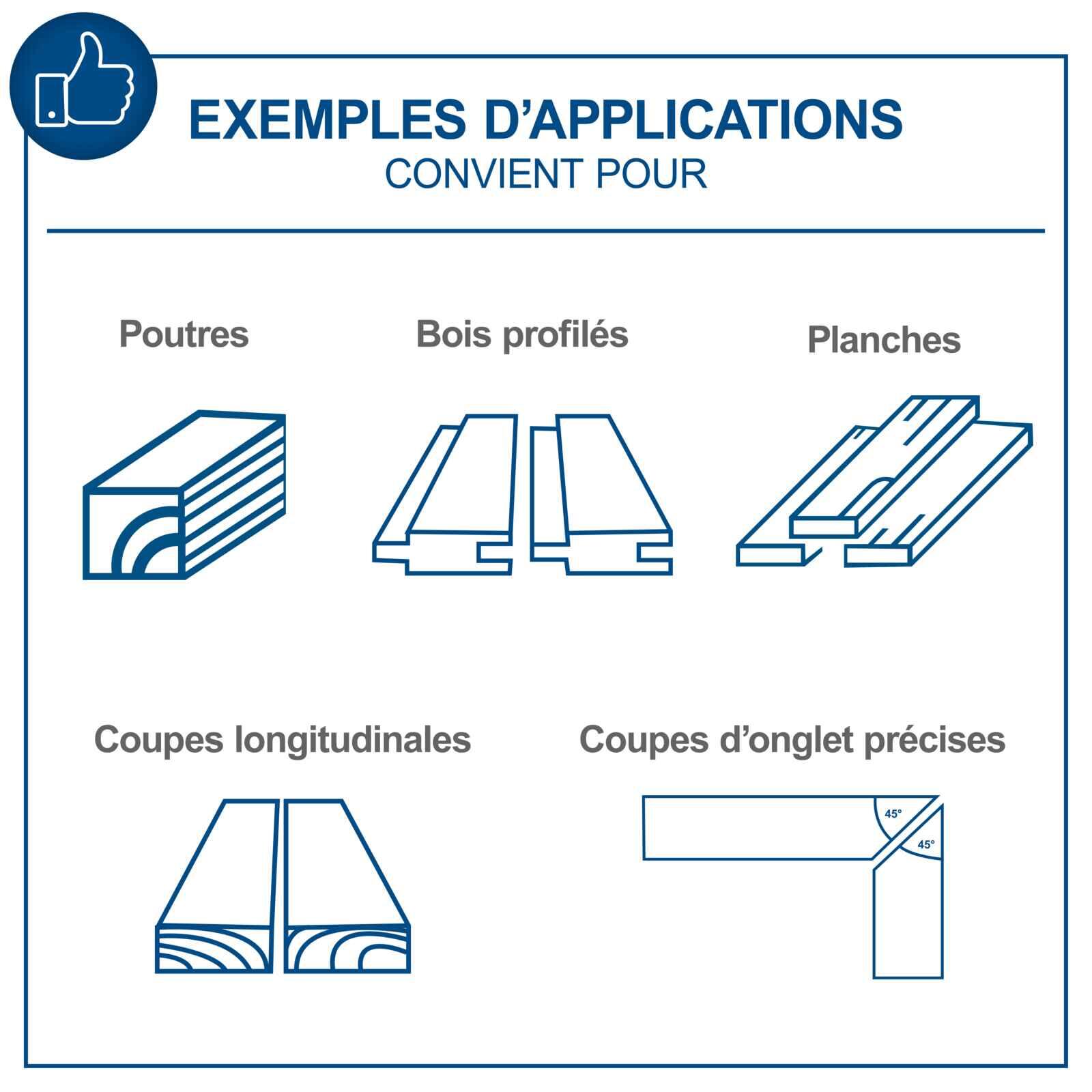 Scie sur table SCHEPPACH 250MM HS100S, 2000 W - 10